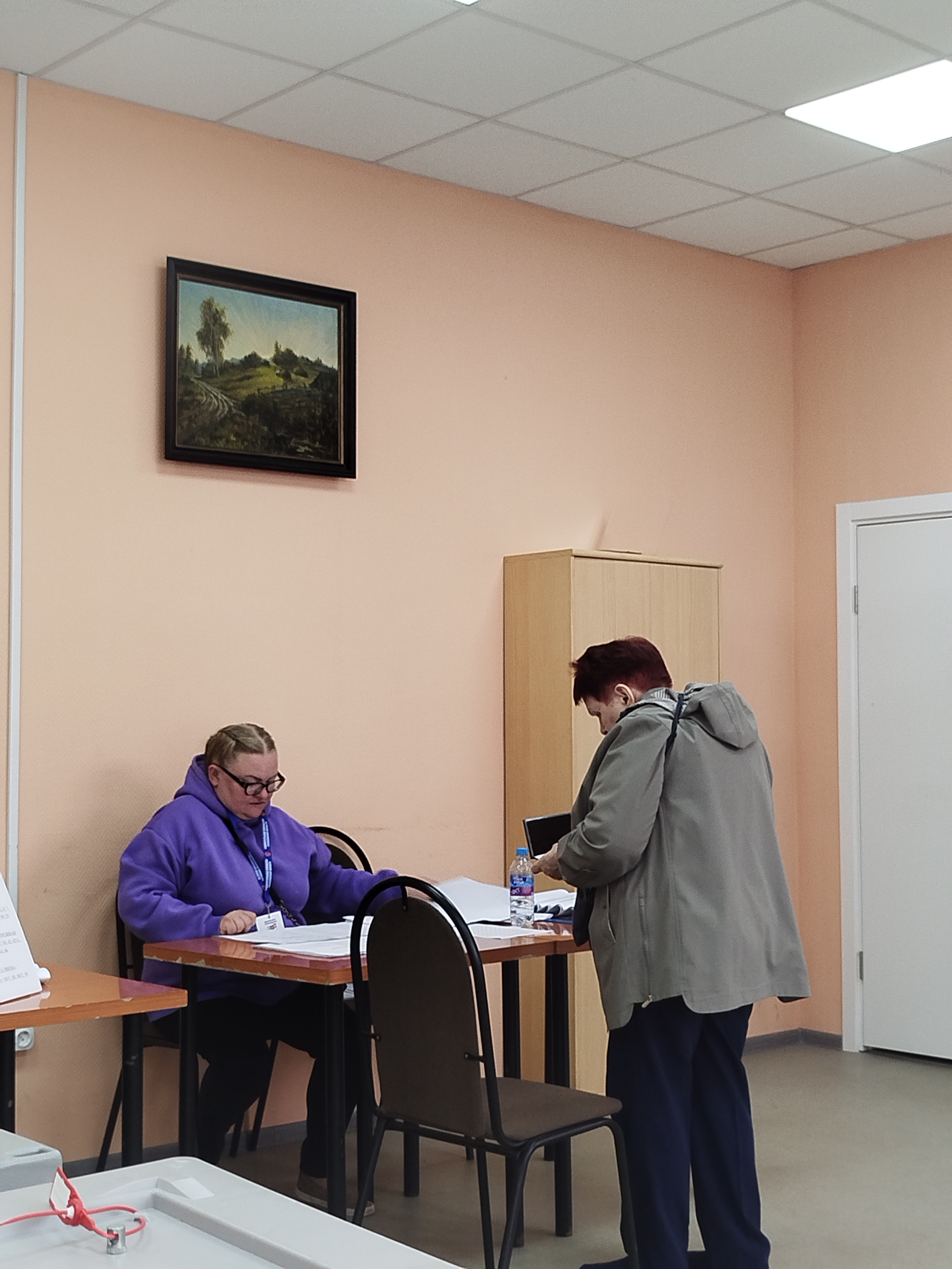 Сообщение — УИК №2253, Московская область