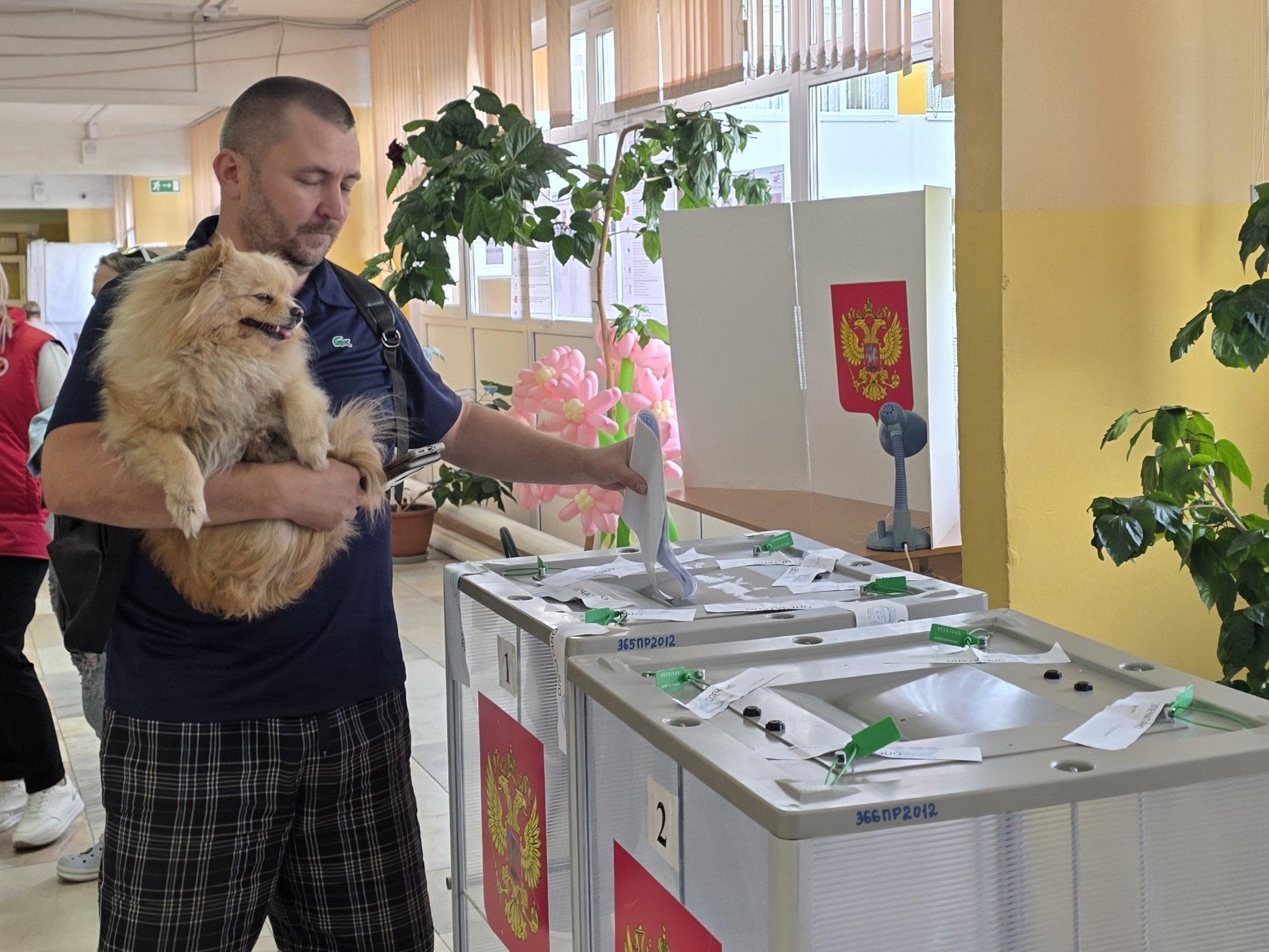 Сообщение — УИК №364, Московская область