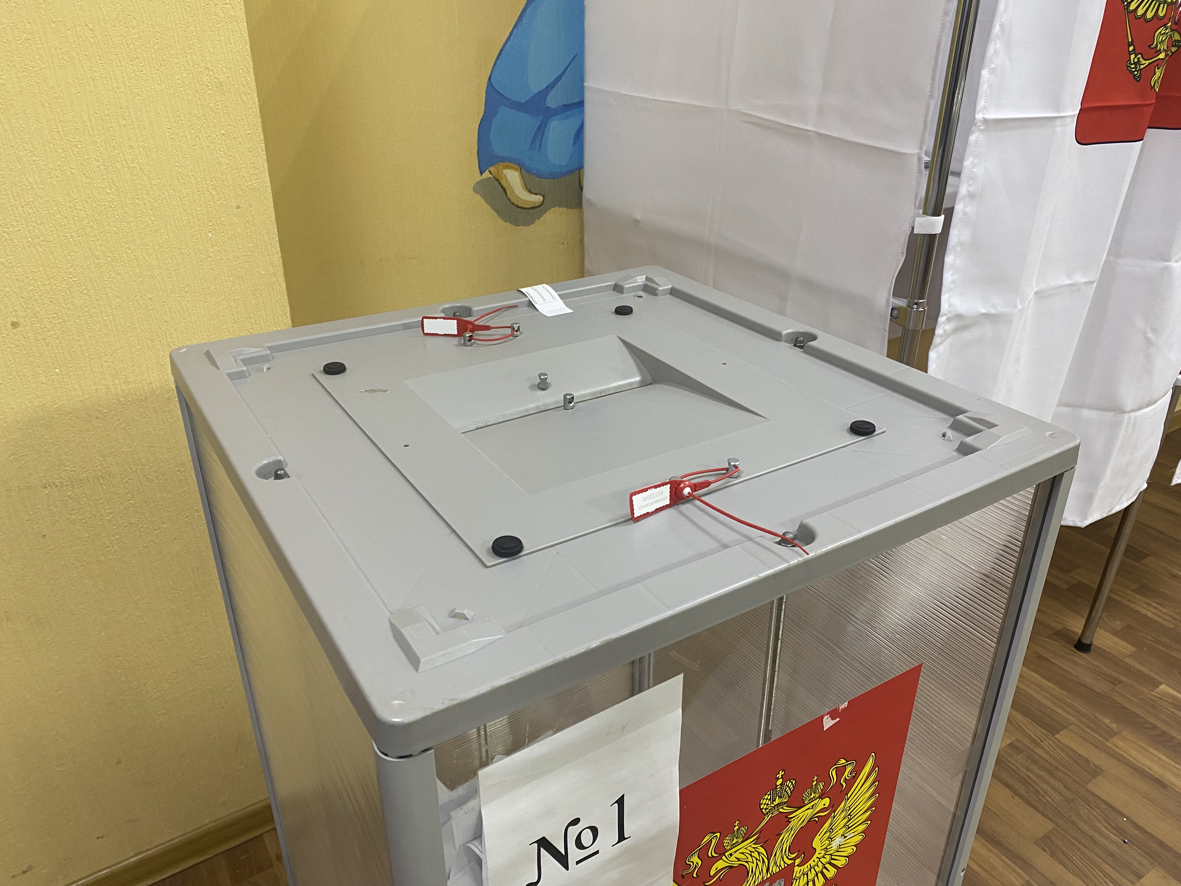 Сообщение — УИК №3091, Московская область