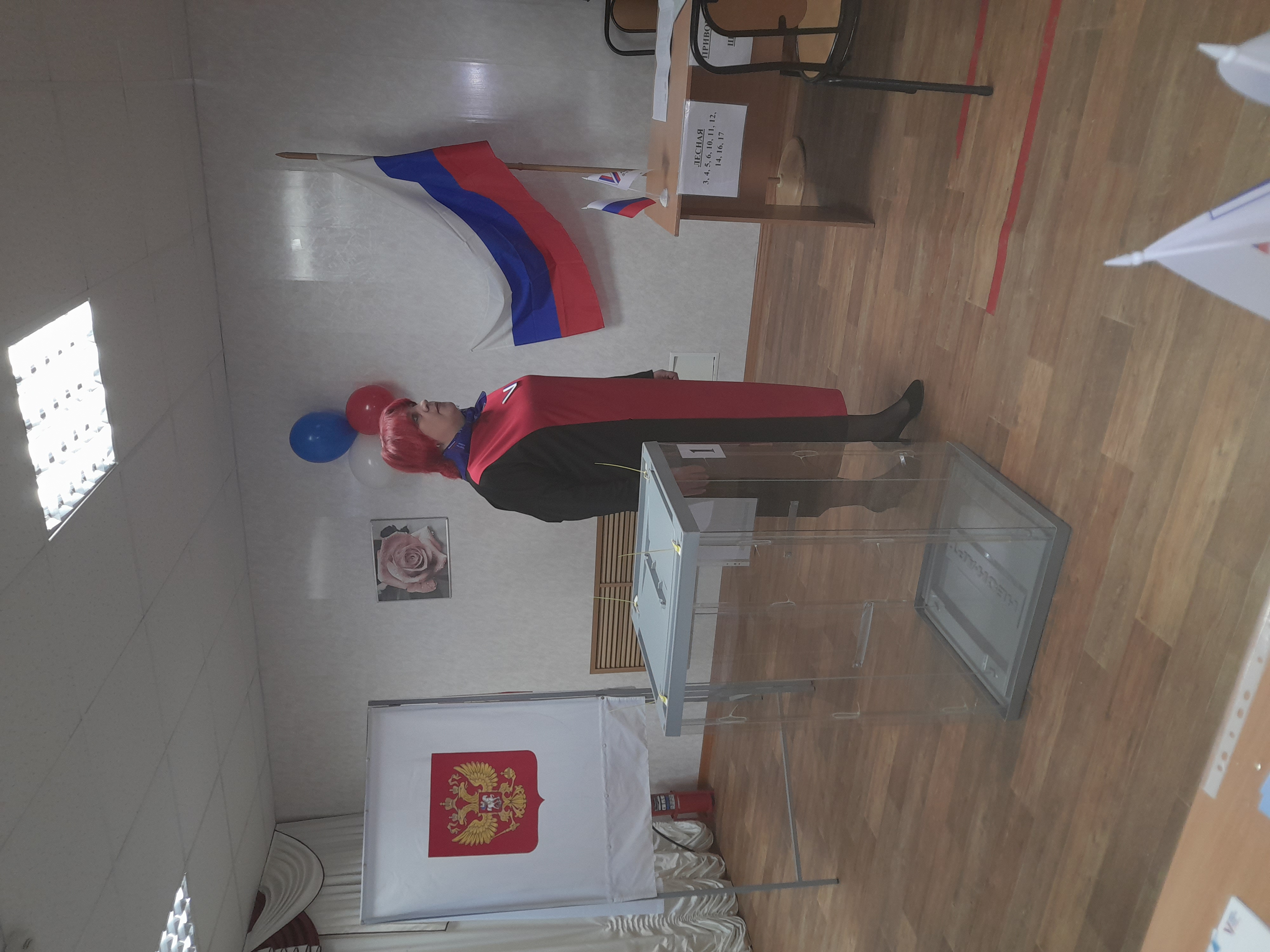 Сообщение наблюдателя — УИК №223, Республика Коми