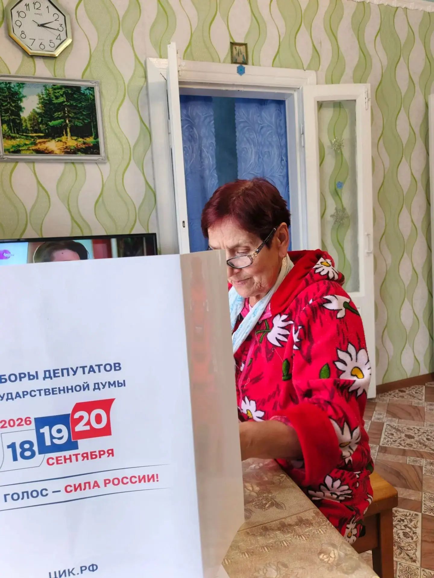 Сообщение — УИК №379, Новосибирская область