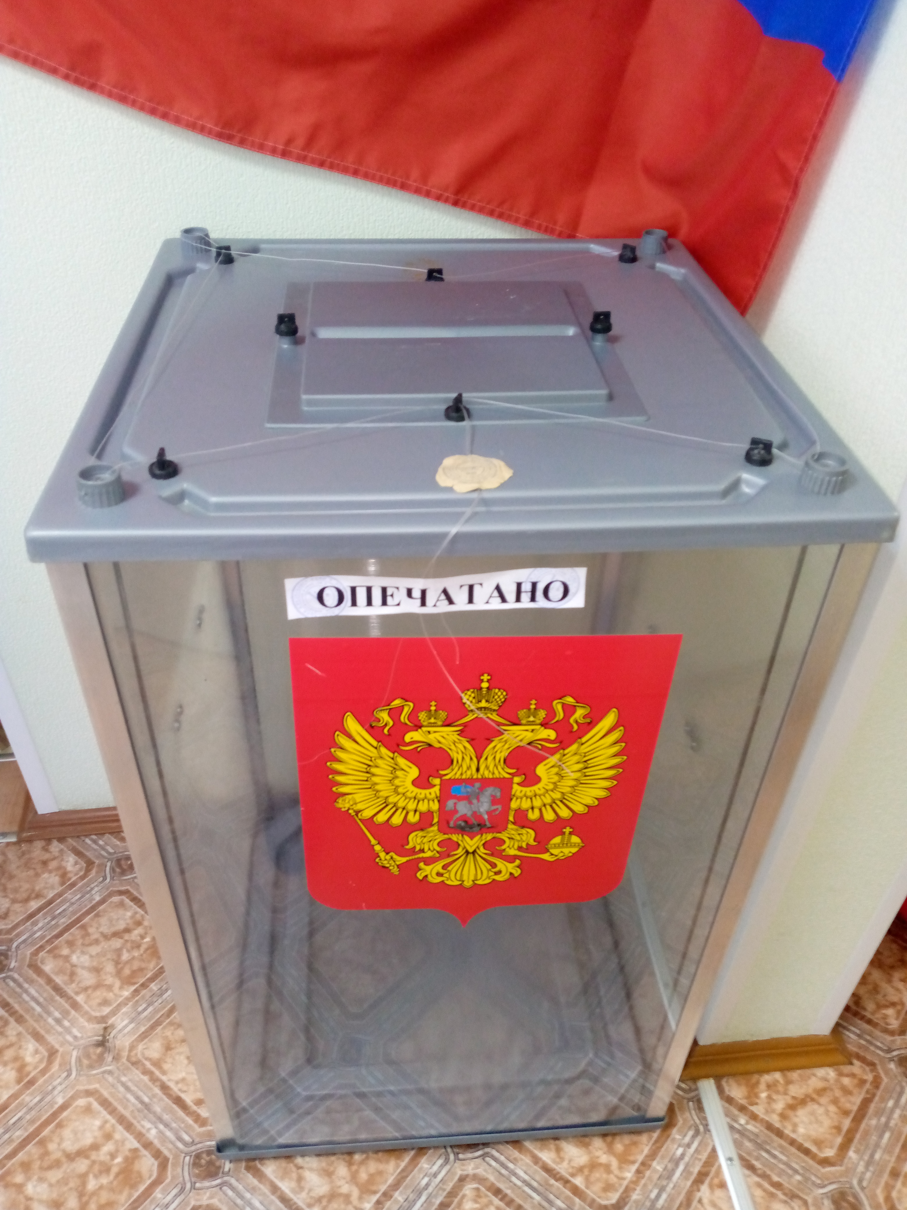 Сообщение наблюдателя — УИК №19, Республика Коми