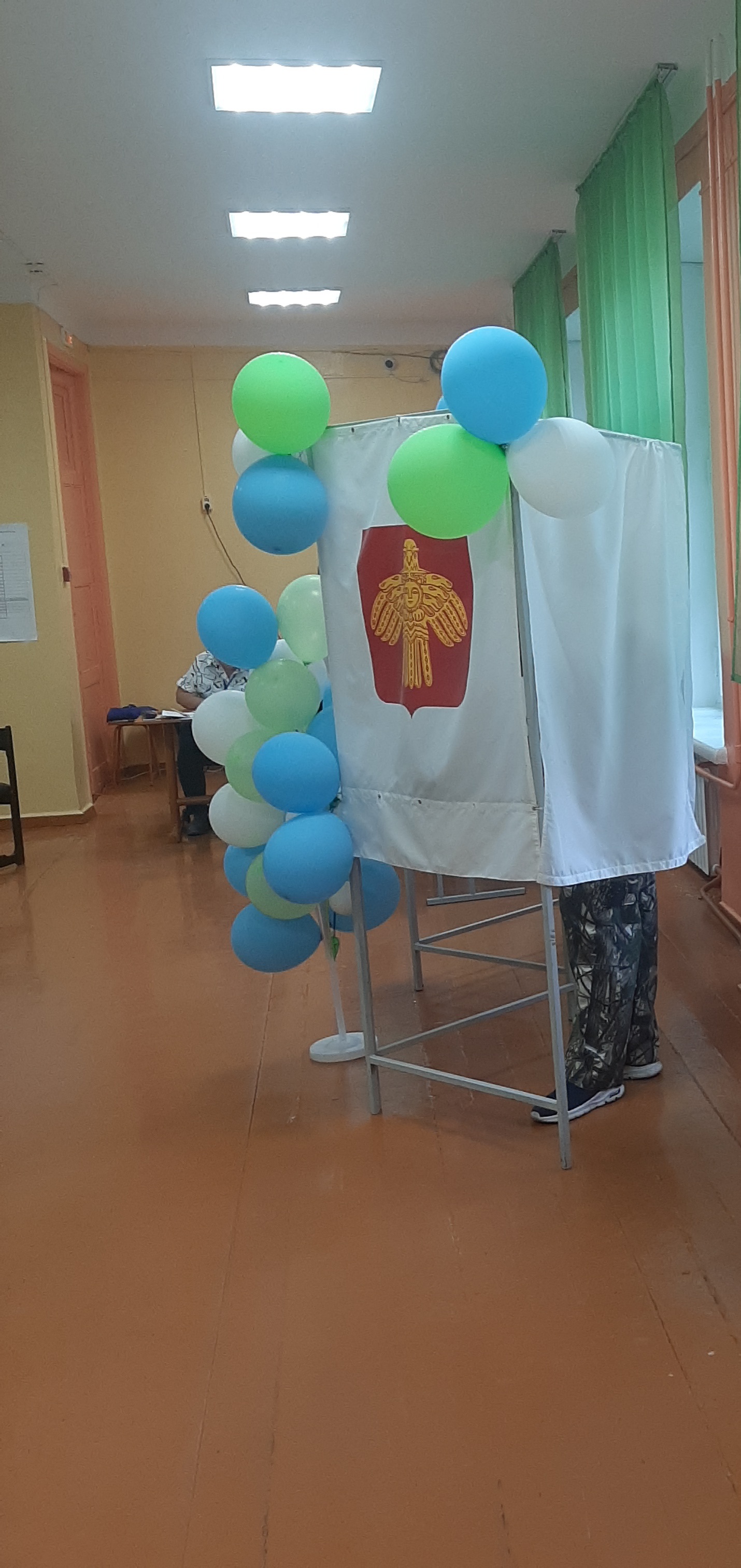 Сообщение наблюдателя — УИК №183, Республика Коми