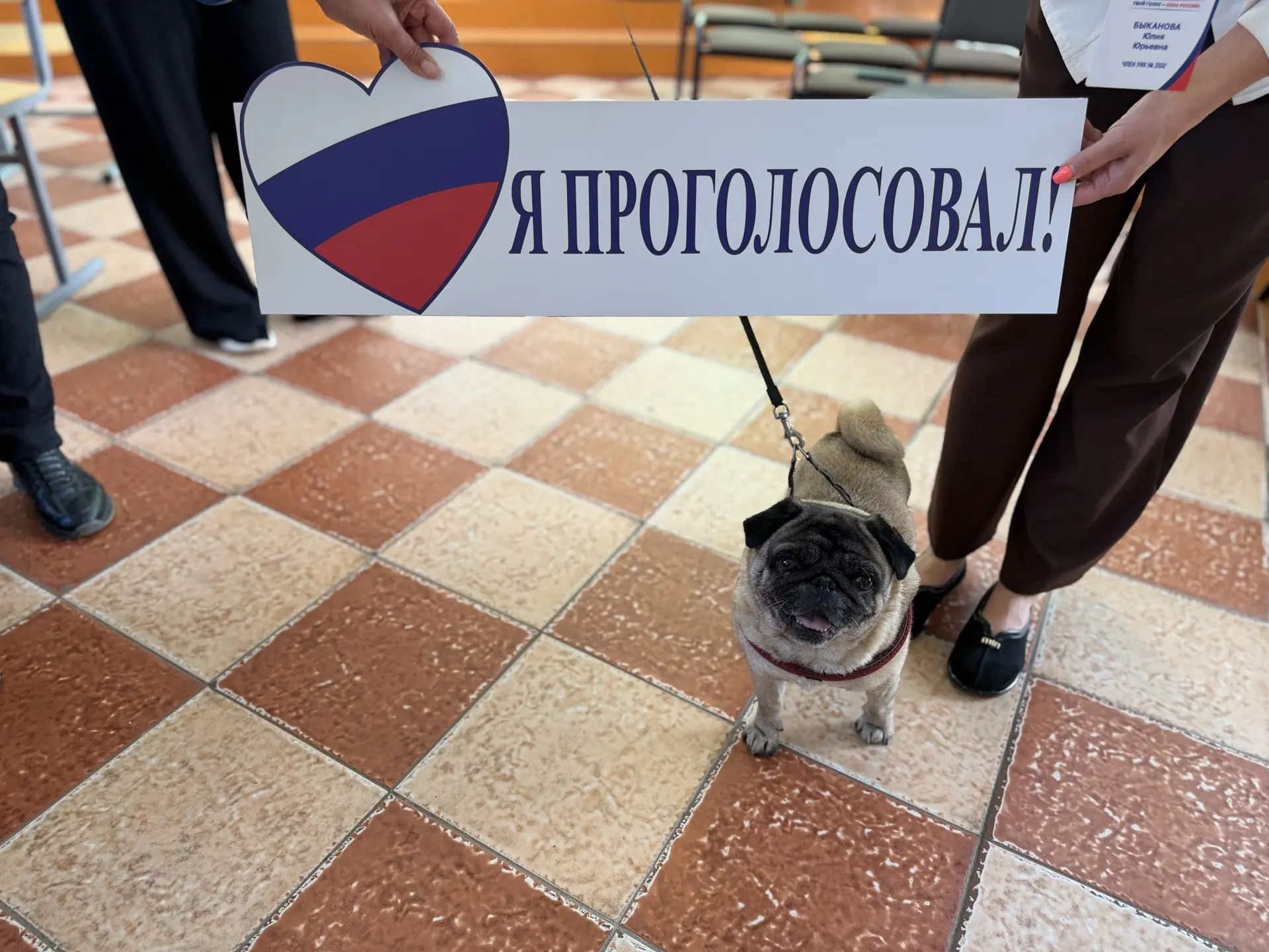Сообщение — УИК №3502, Московская область