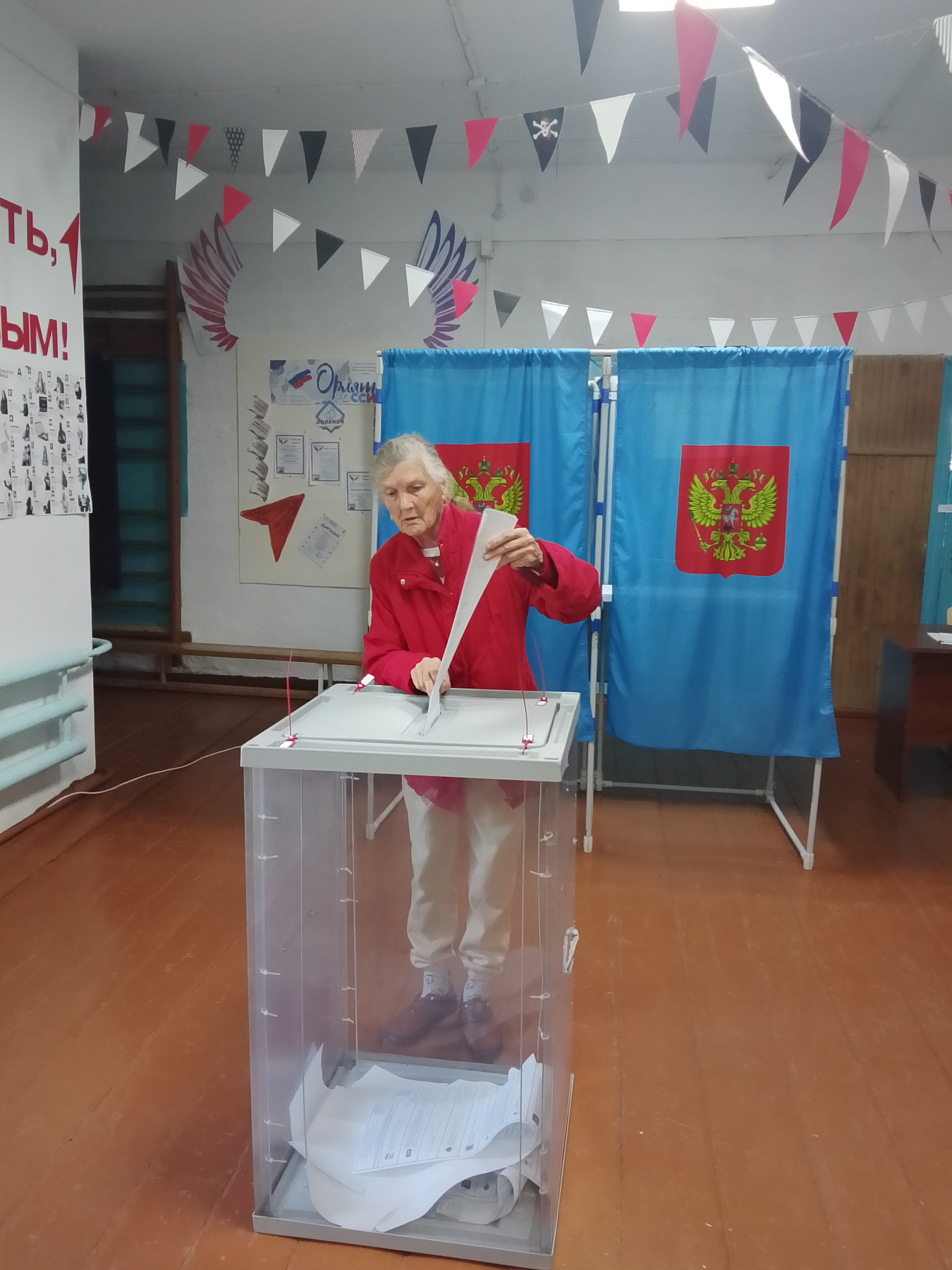 Сообщение — УИК №313, Новосибирская область