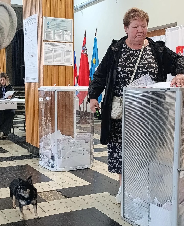 Сообщение — УИК №951, Московская область