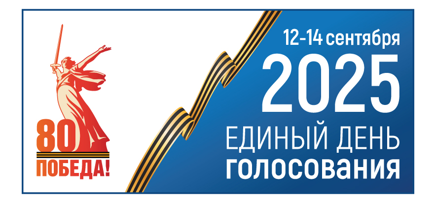 Сообщение наблюдателя — УИК №250, Новосибирская область