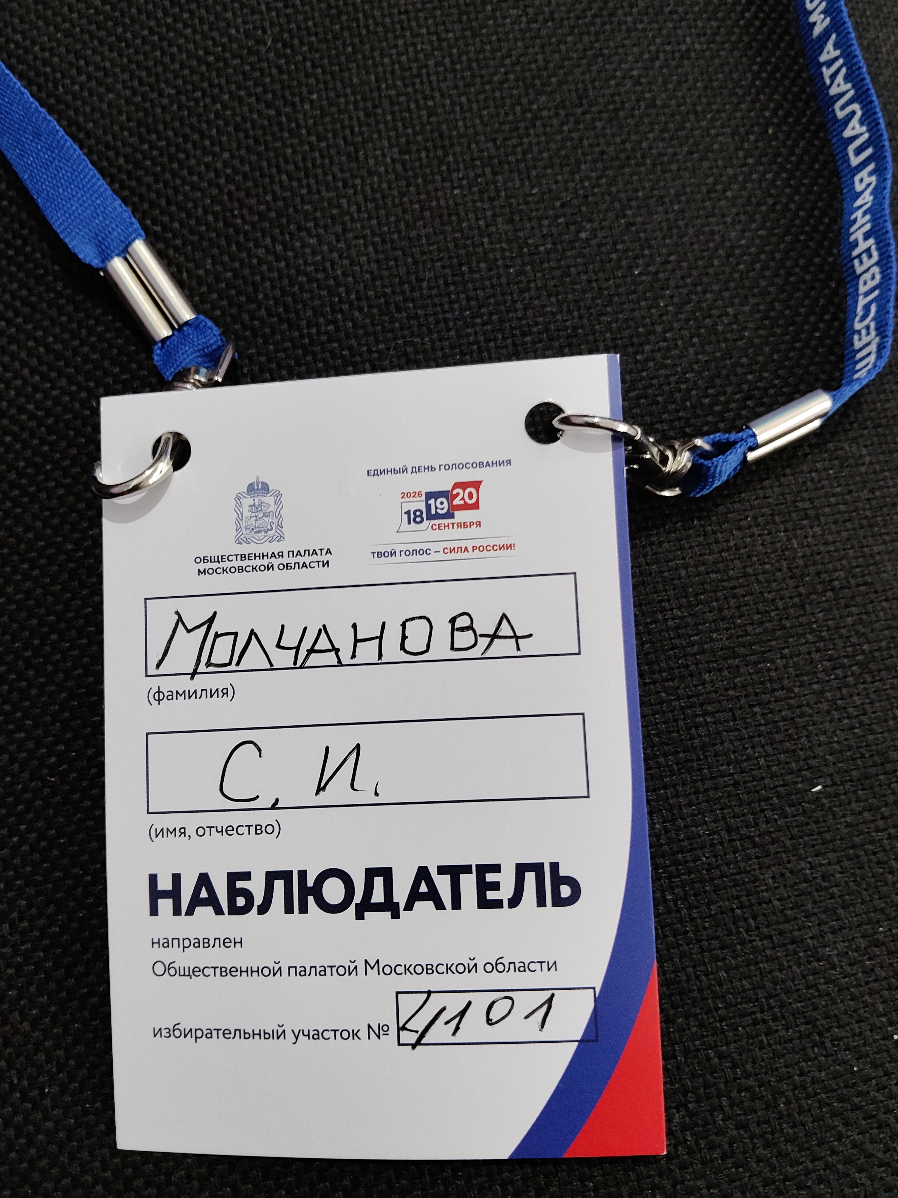 Сообщение — УИК №4101, Московская область