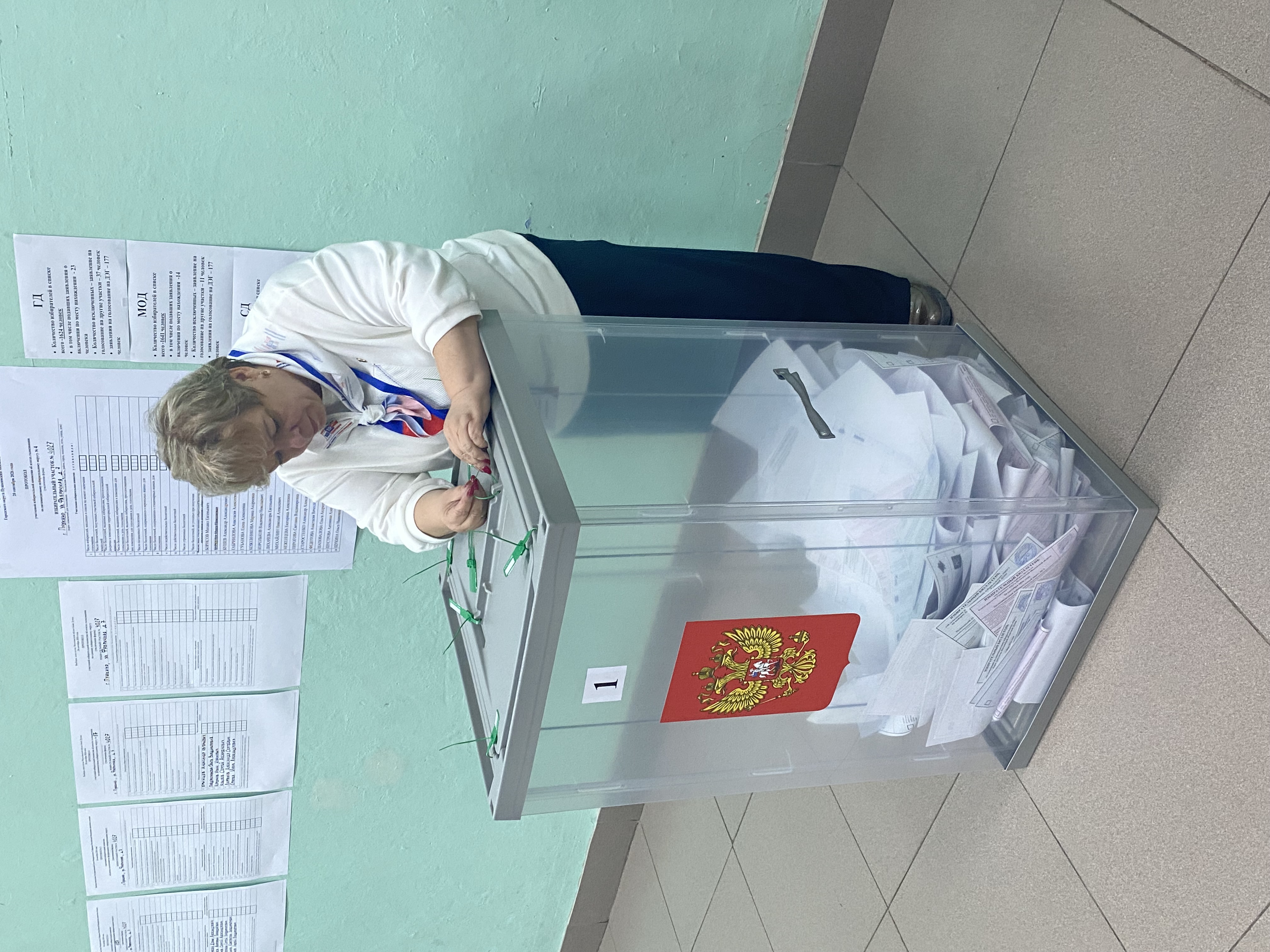 Сообщение — УИК №4027, Московская область