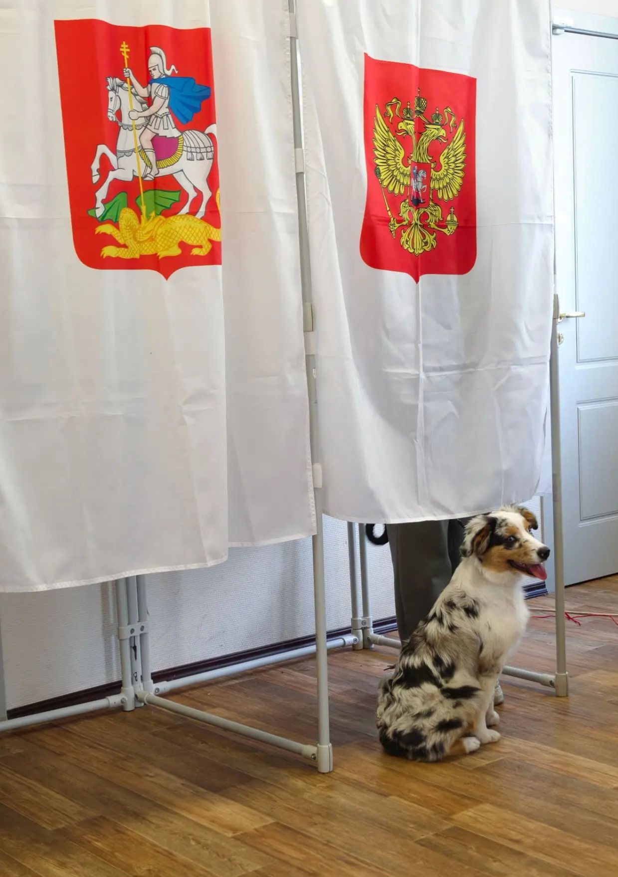 Сообщение — УИК №3227, Московская область