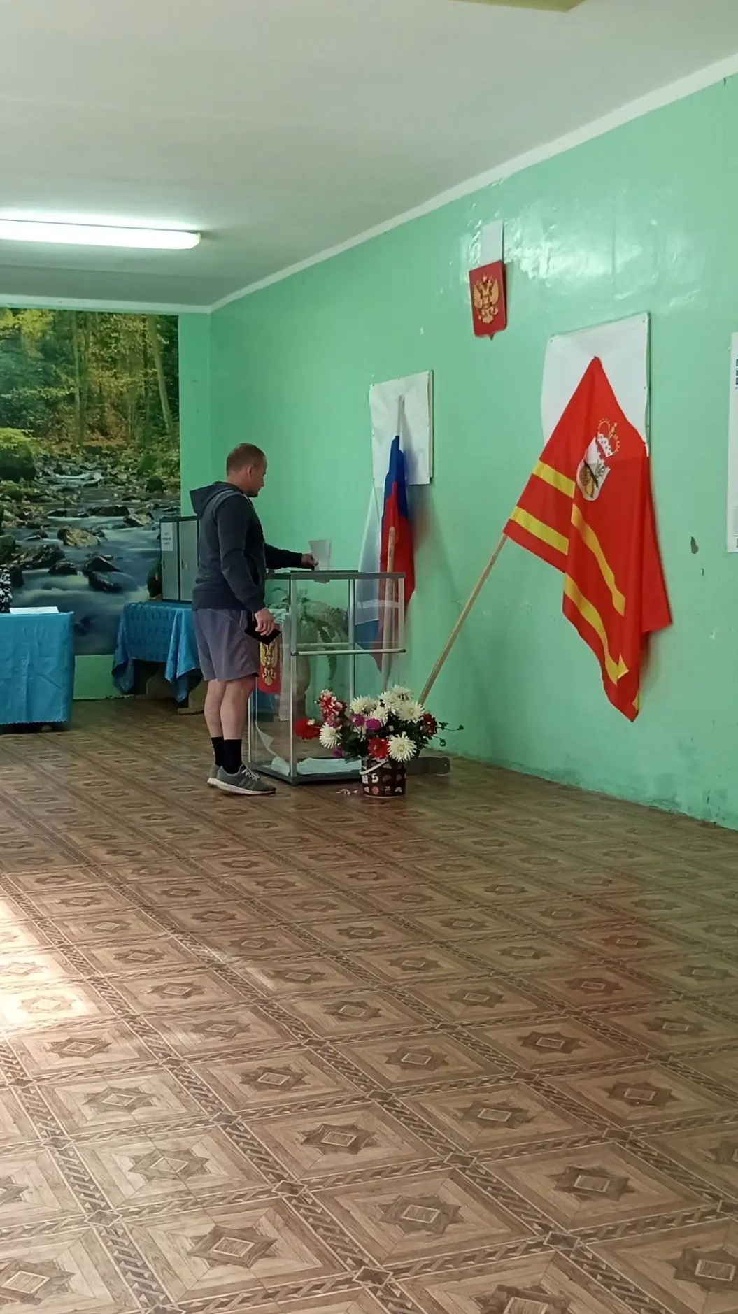 Сообщение — УИК №86, Смоленская область