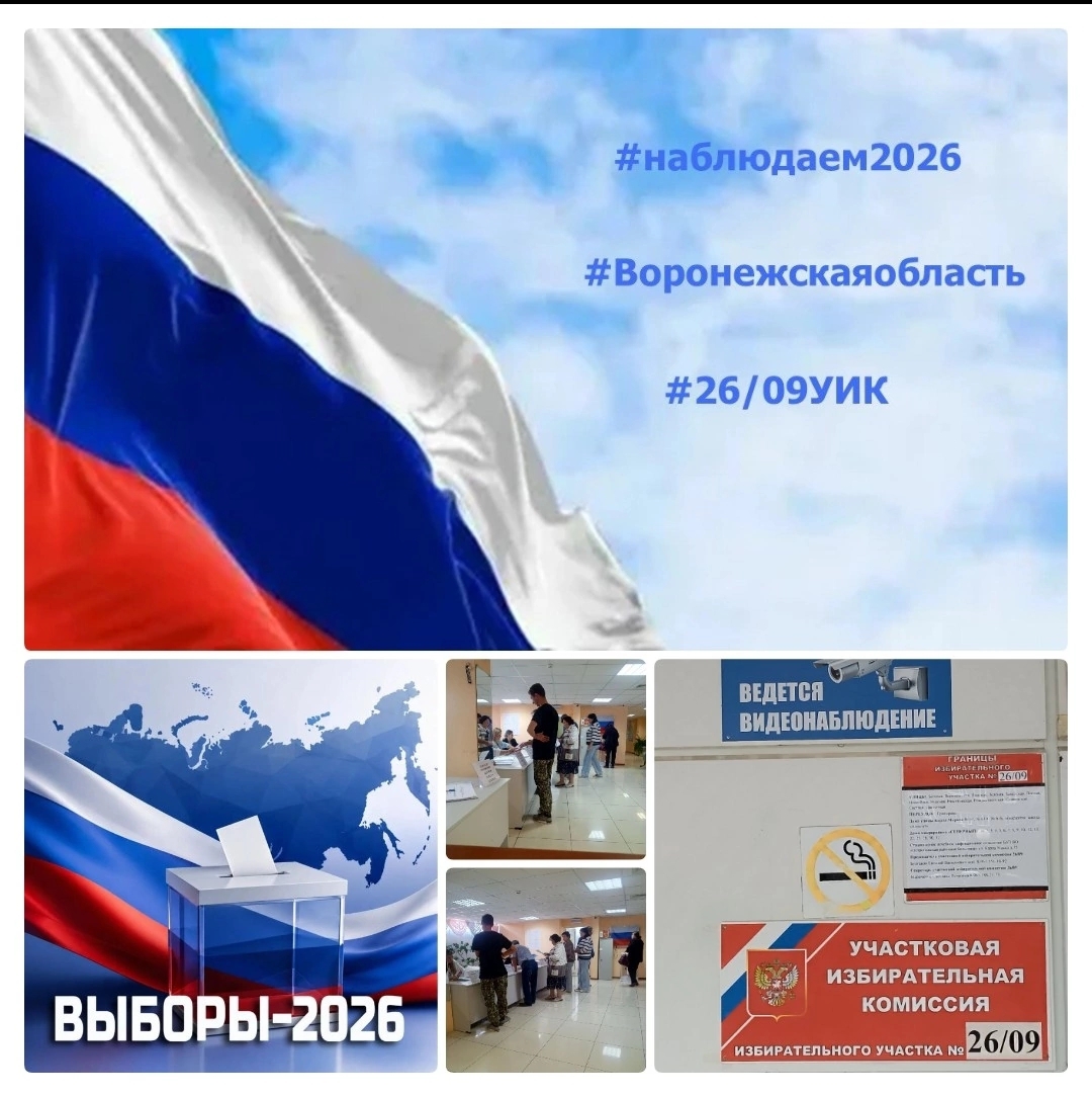 Сообщение — УИК №2609, Воронежская область