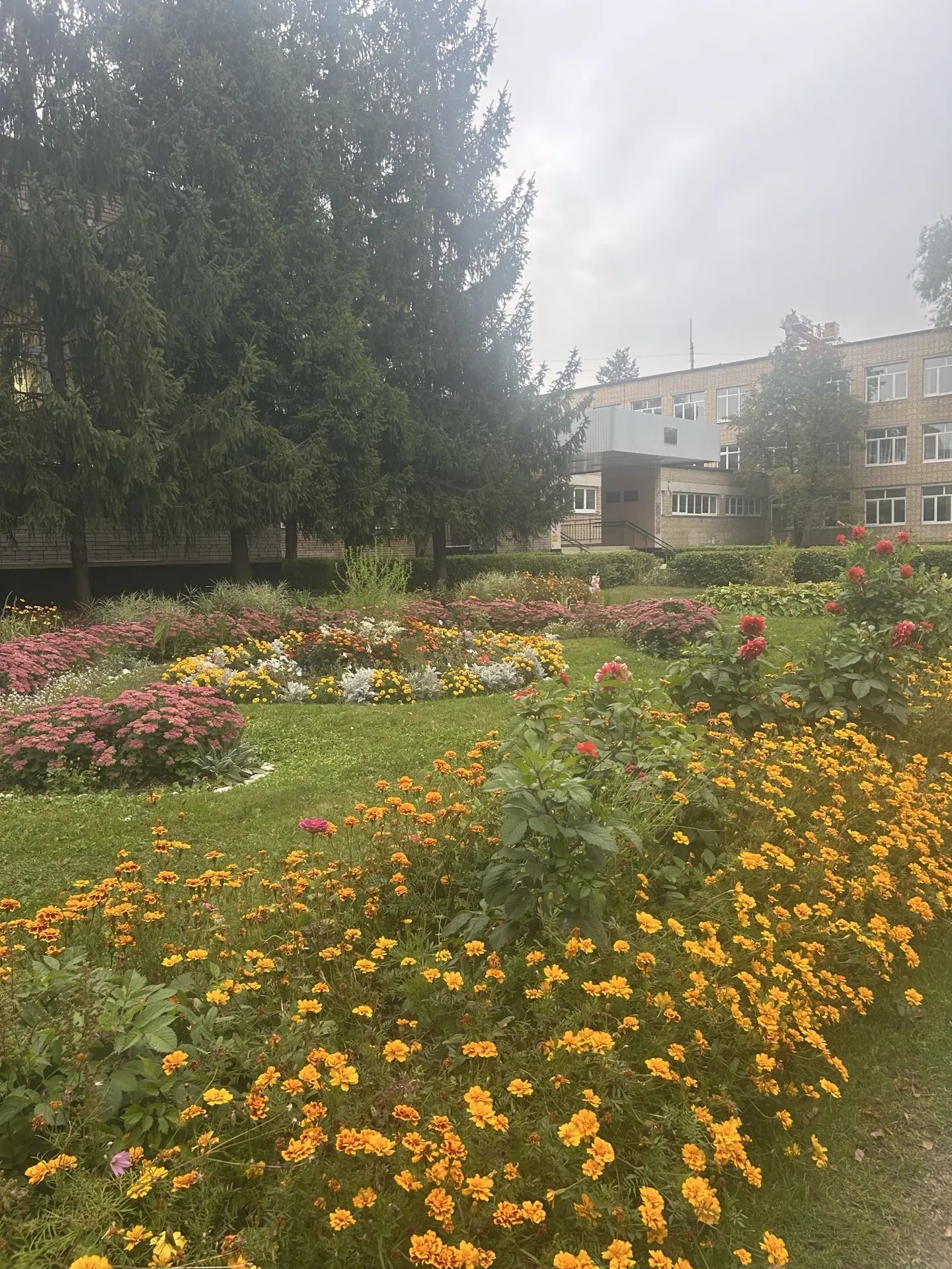 Сообщение — УИК №3240, Московская область