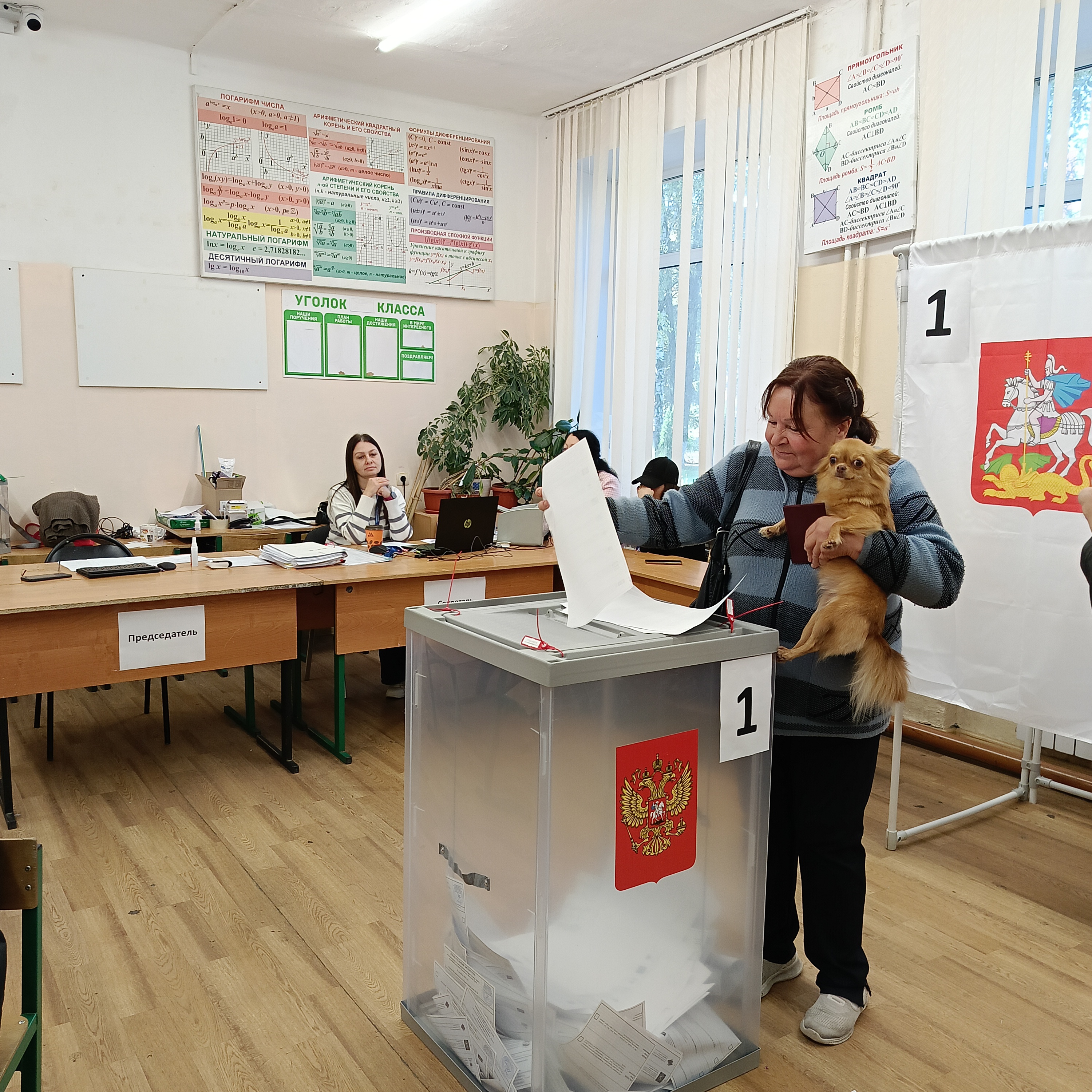 Сообщение — УИК №2528, Московская область