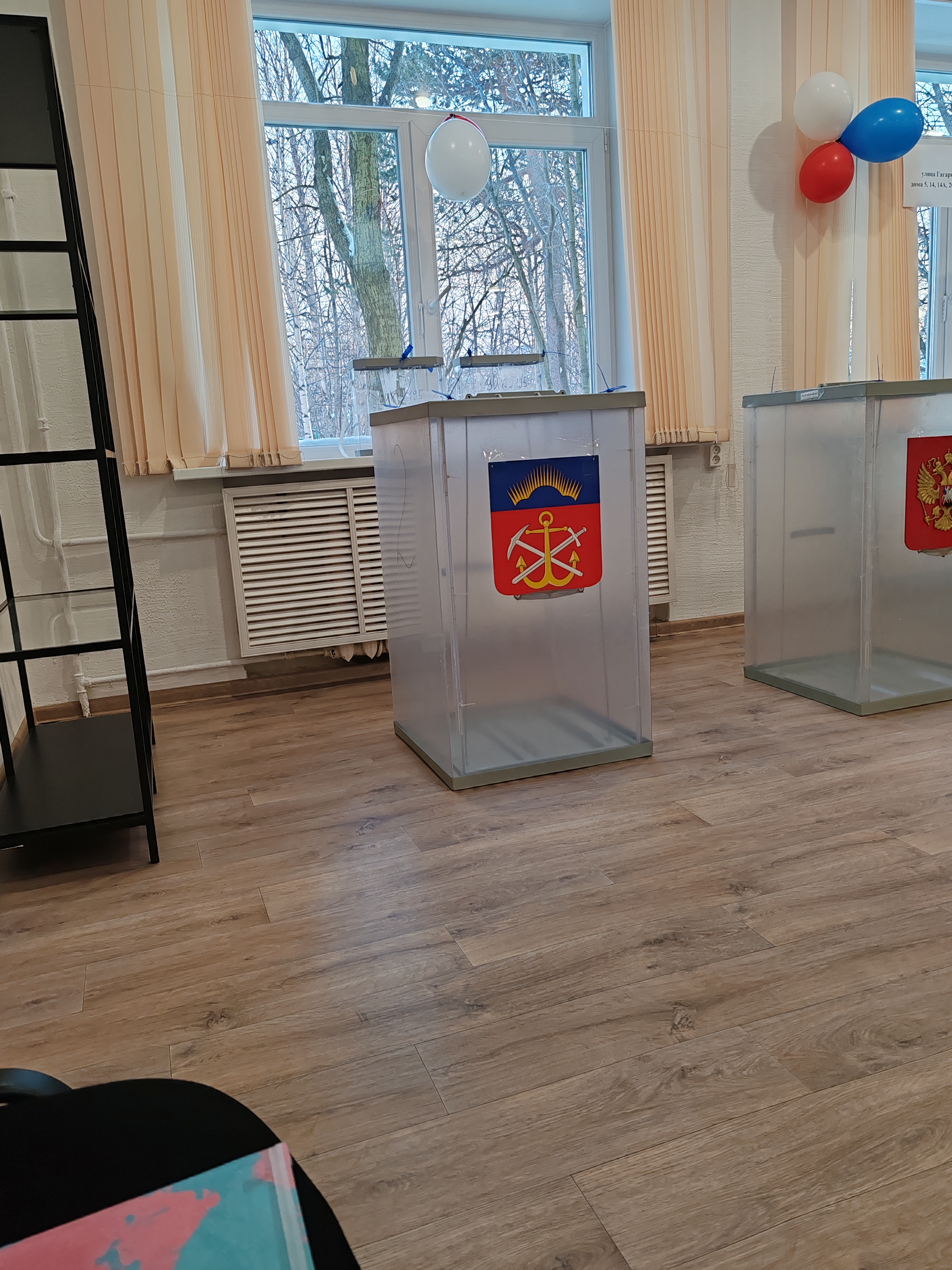 Сообщение наблюдателя — УИК №195, Мурманская область