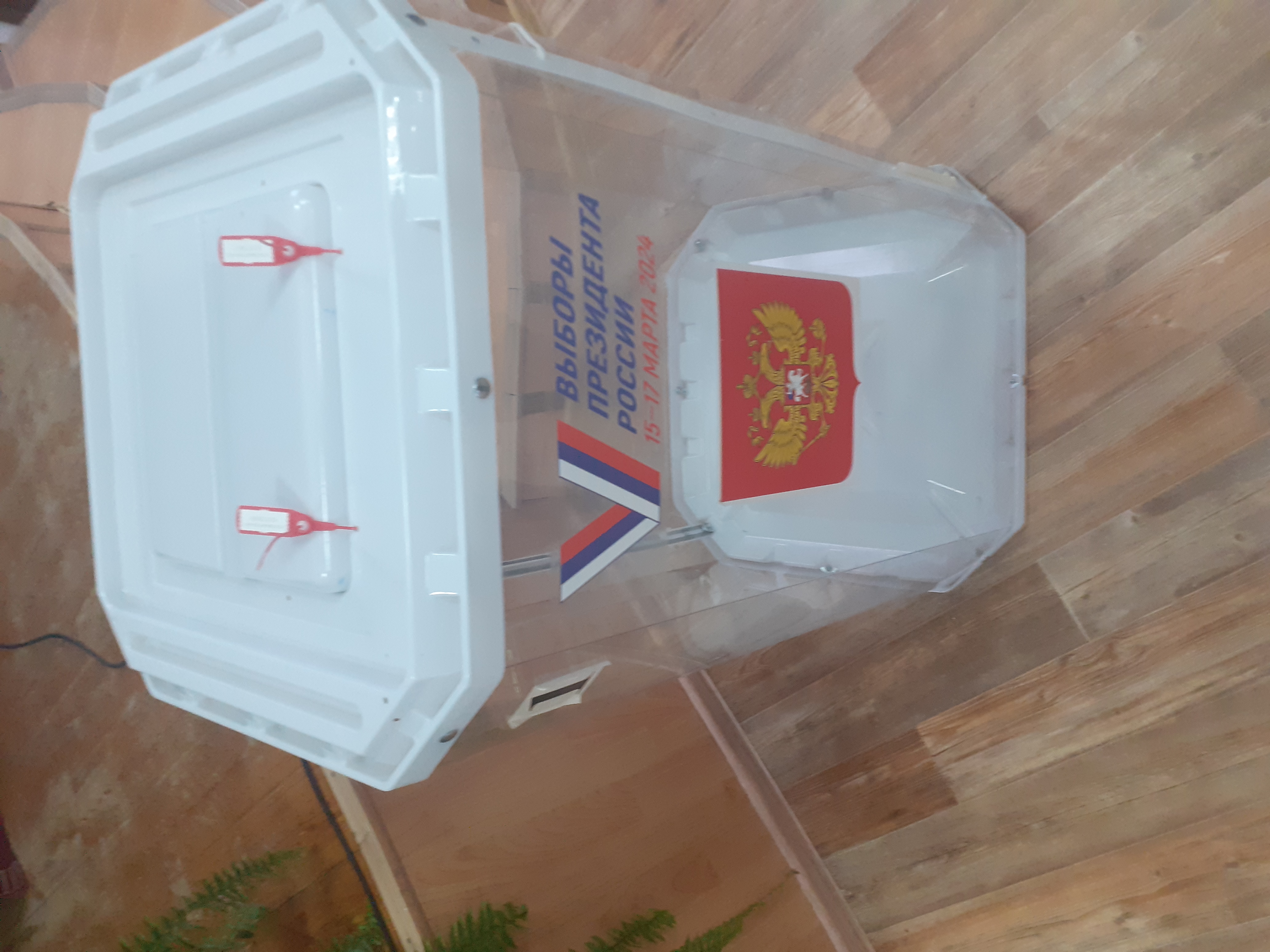 Сообщение наблюдателя — УИК №833, Белгородская область