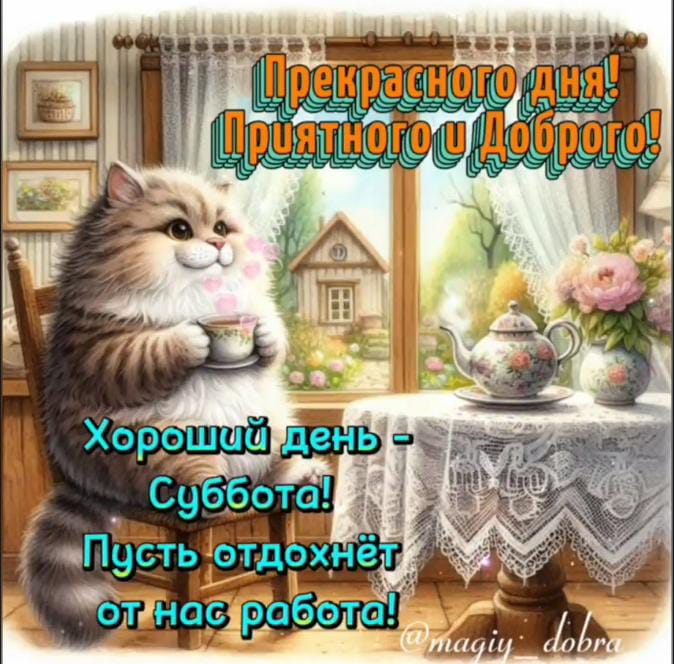 Сообщение наблюдателя — УИК №3538, Воронежская область