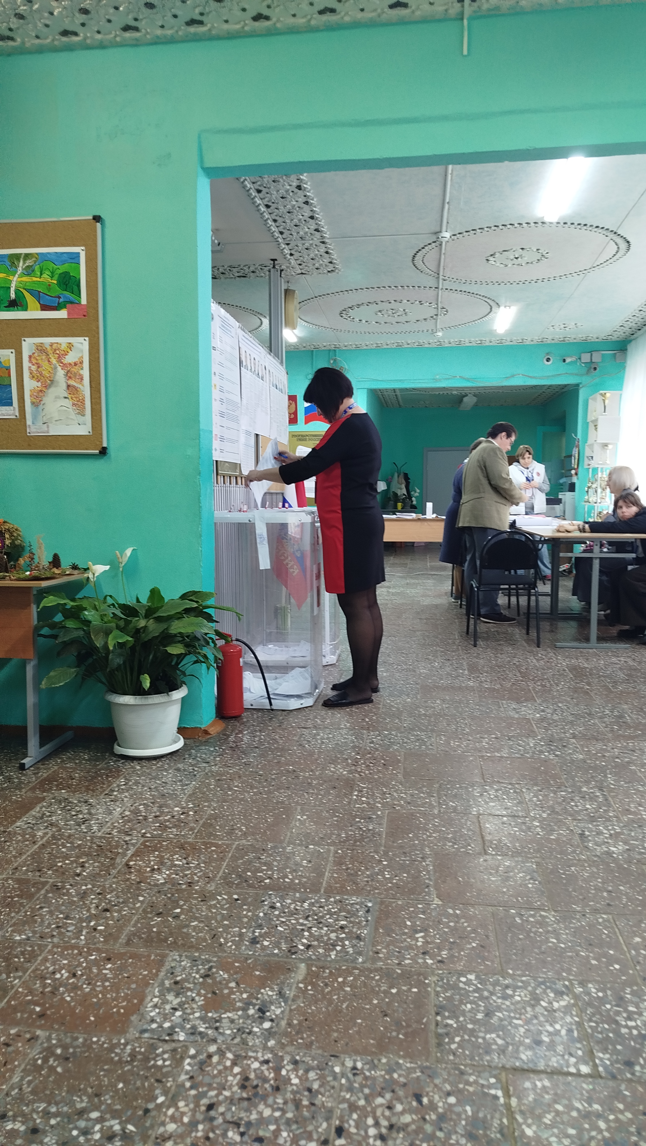 Сообщение — УИК №3300, Московская область