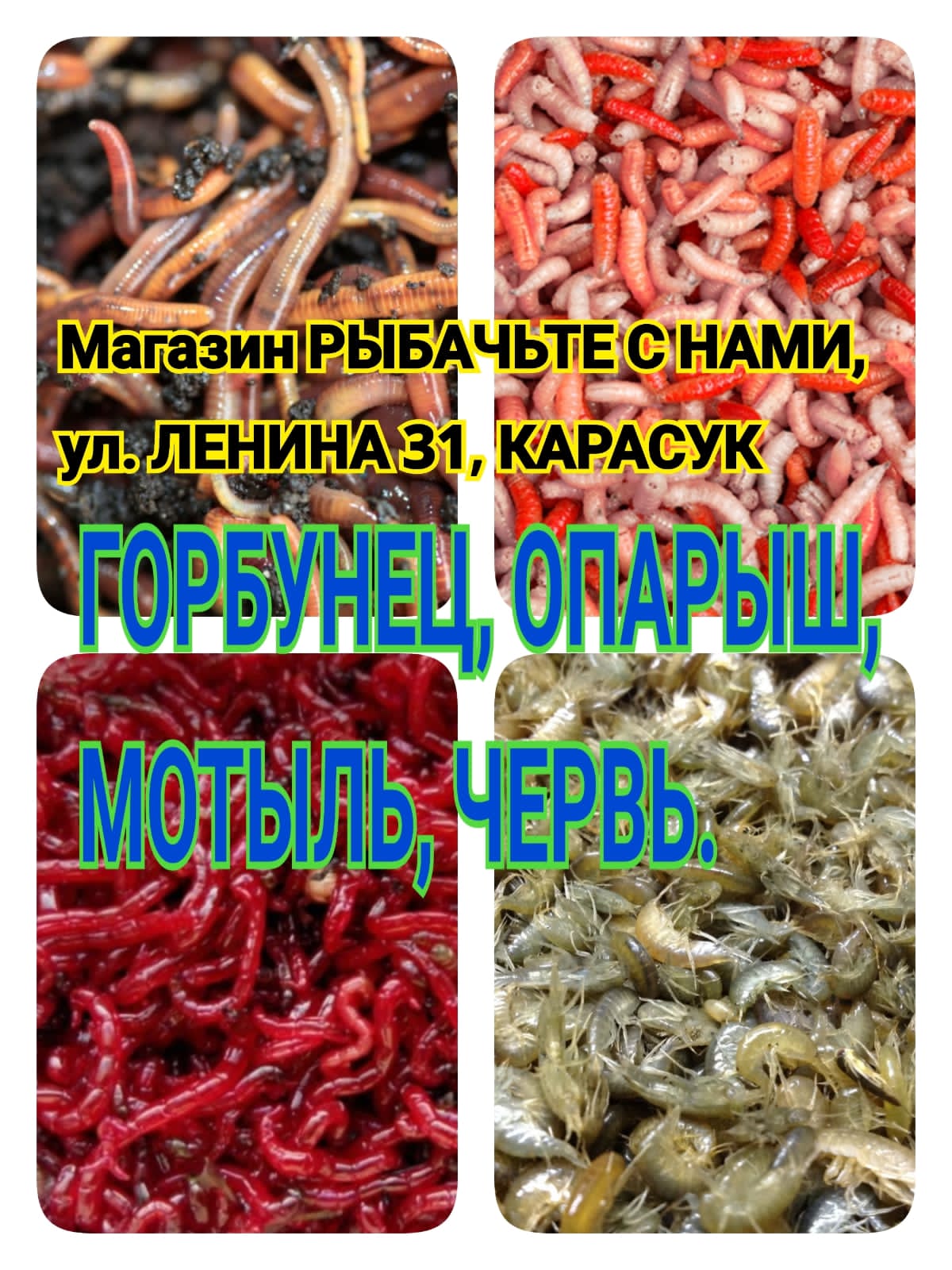 Сообщение наблюдателя — УИК №1785, Алтайский край