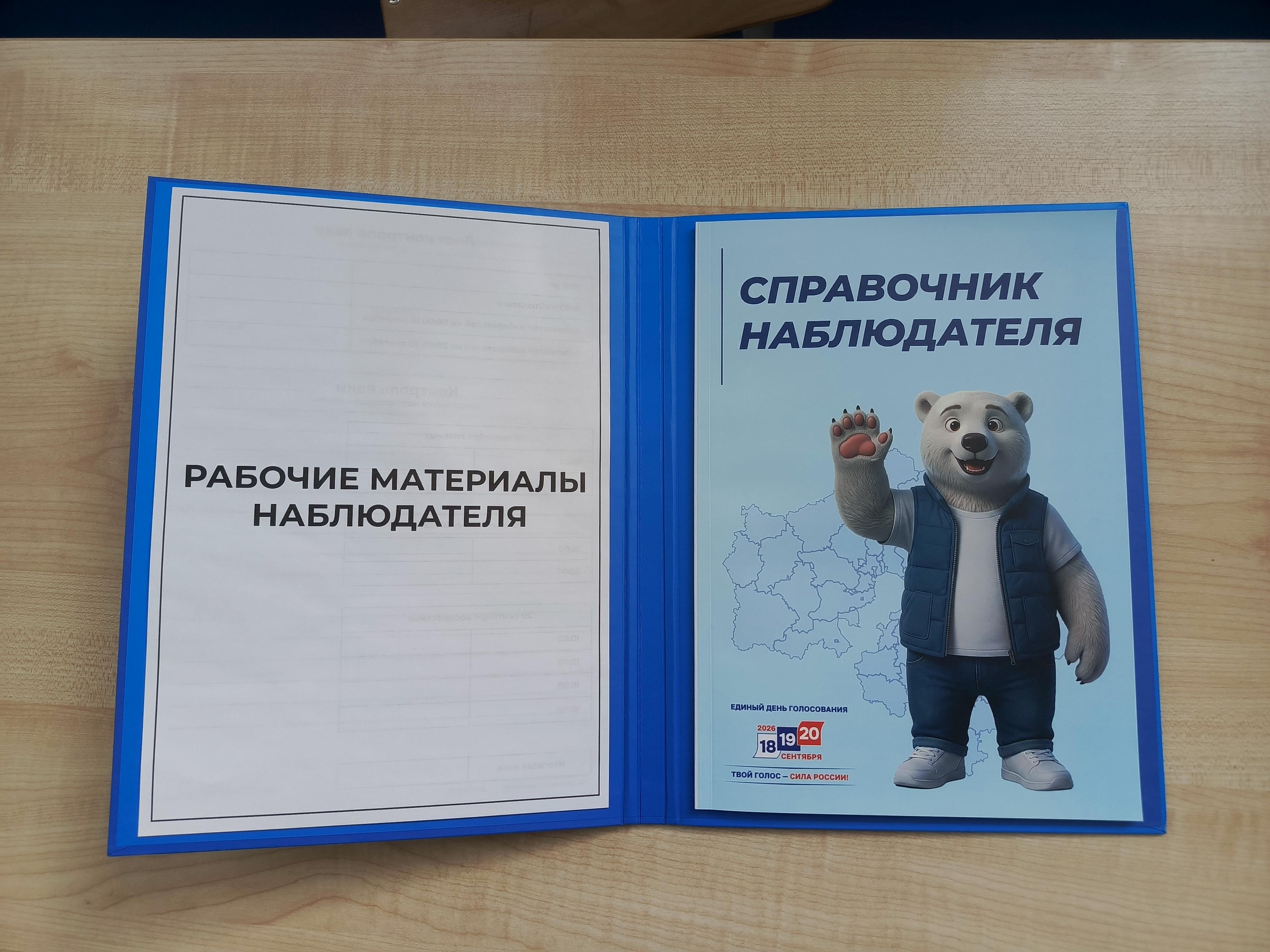 Сообщение — УИК №3127, Московская область