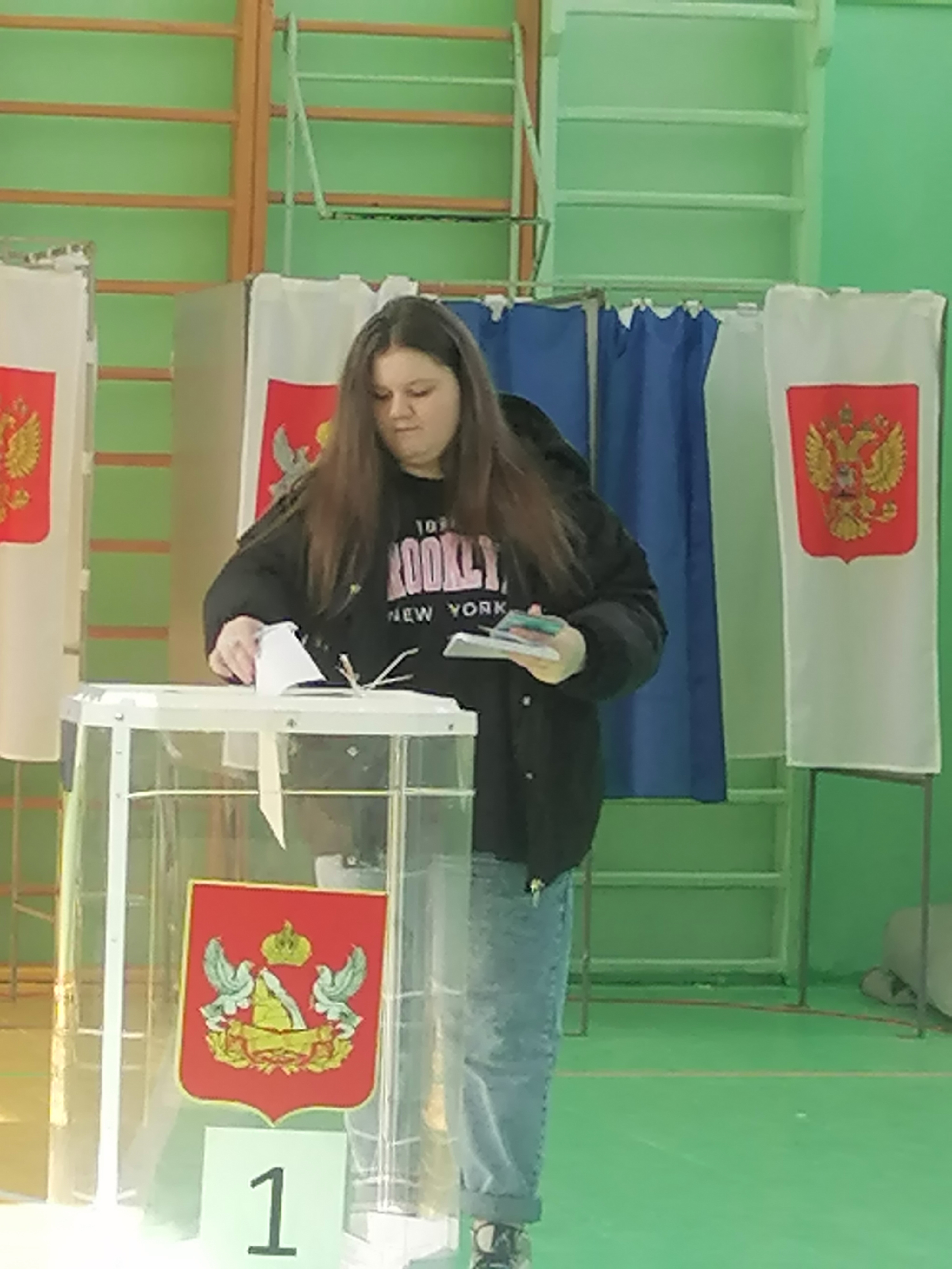 Сообщение наблюдателя — УИК №1334, Воронежская область