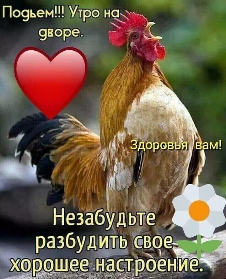 Сообщение наблюдателя — УИК №3429, Московская область