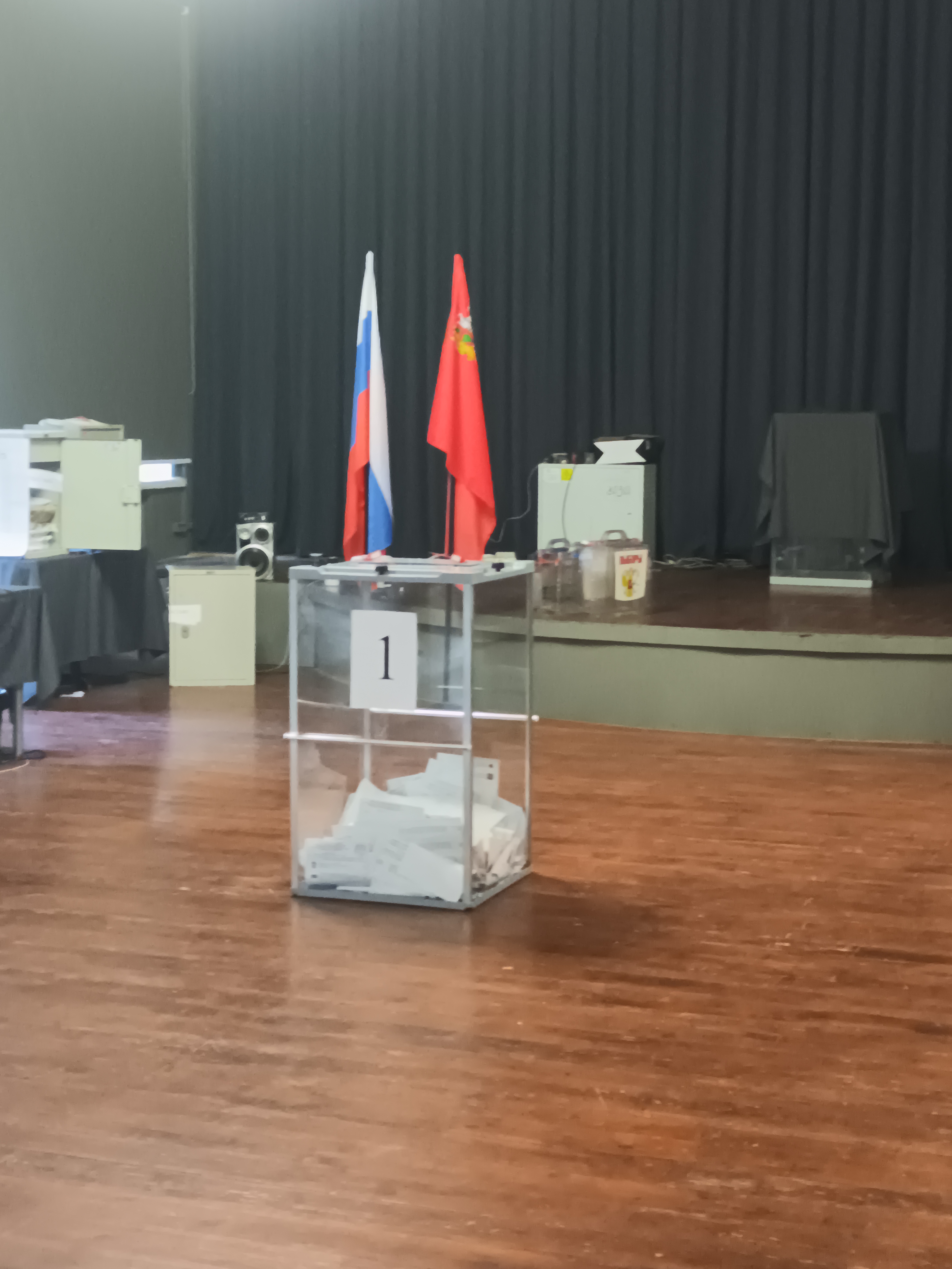 Сообщение — УИК №3495, Московская область