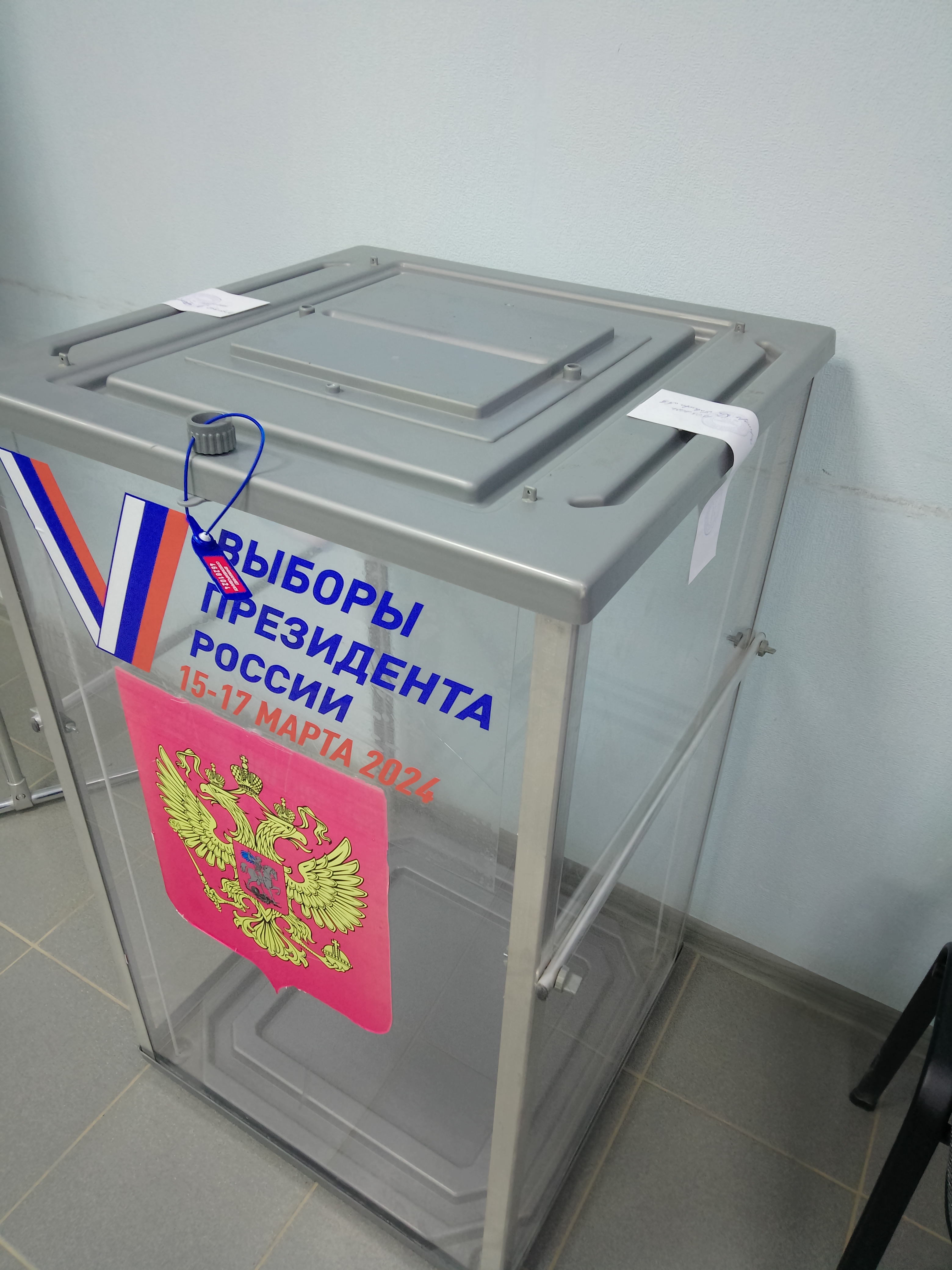 Сообщение наблюдателя — УИК №1313, Новгородская область