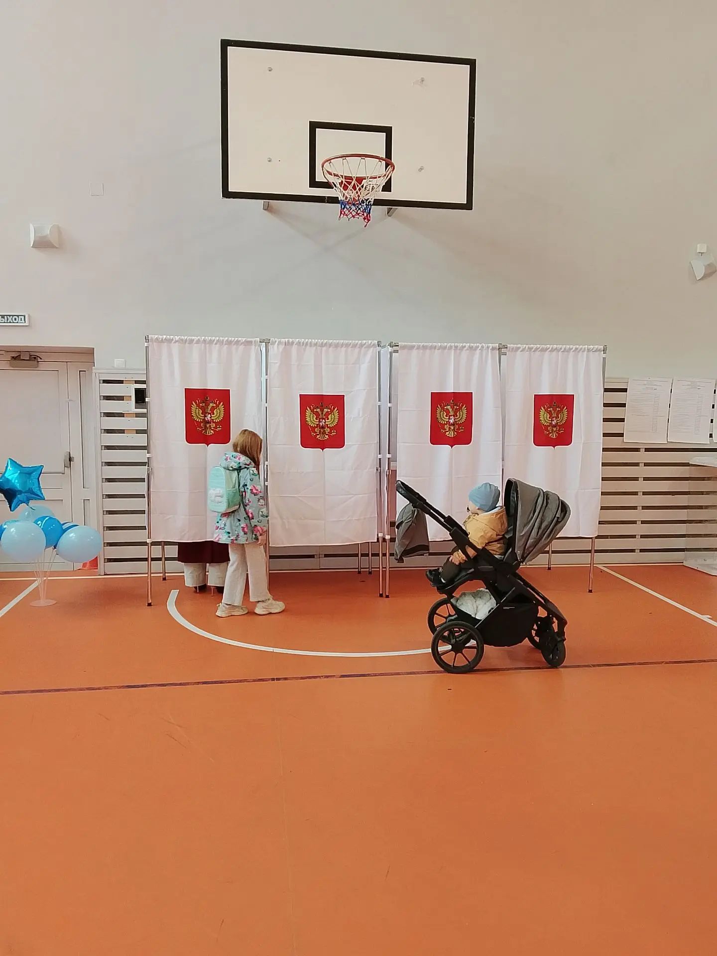 Сообщение — УИК №3537, Московская область