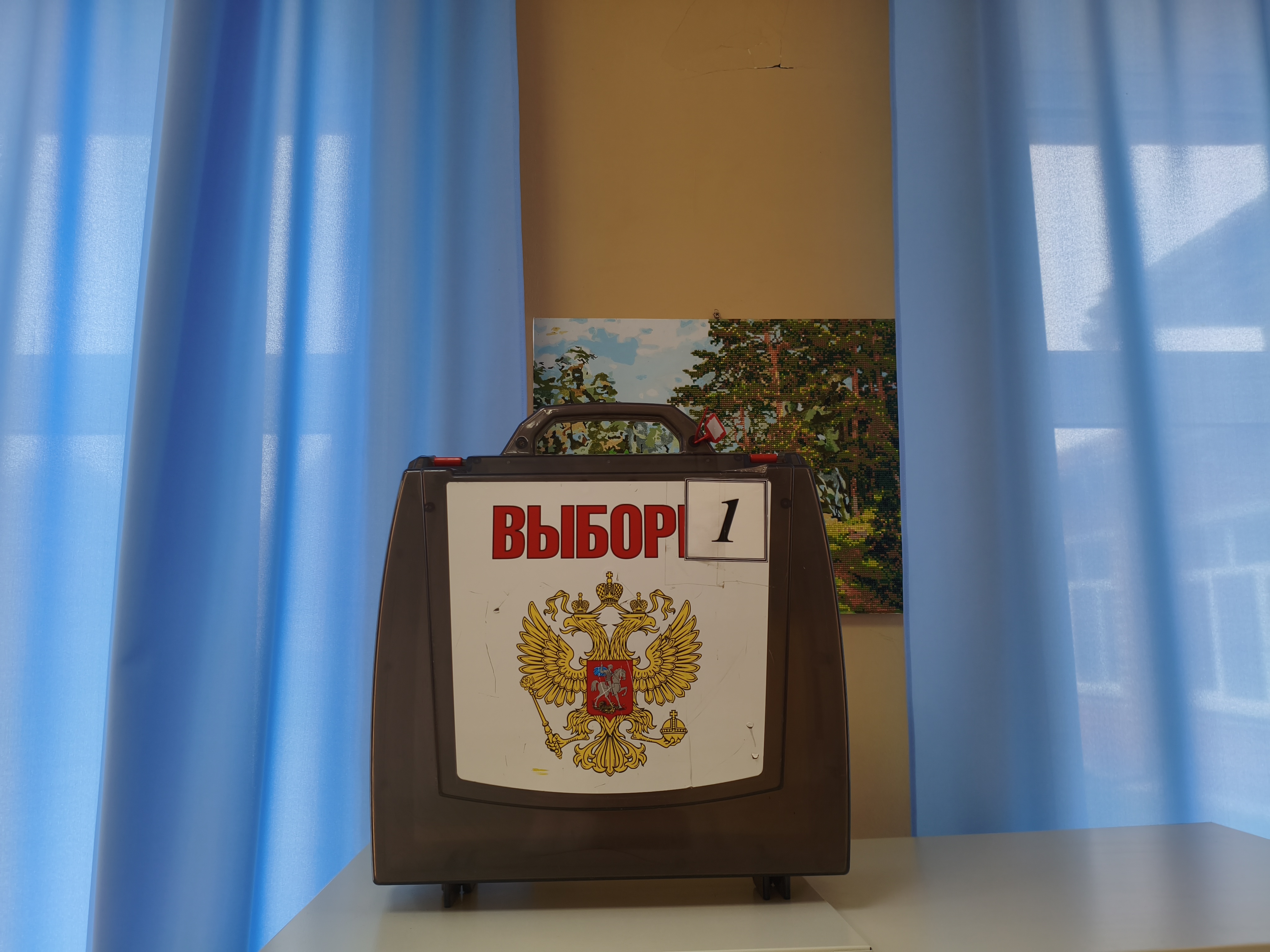 Сообщение — УИК №547, Московская область