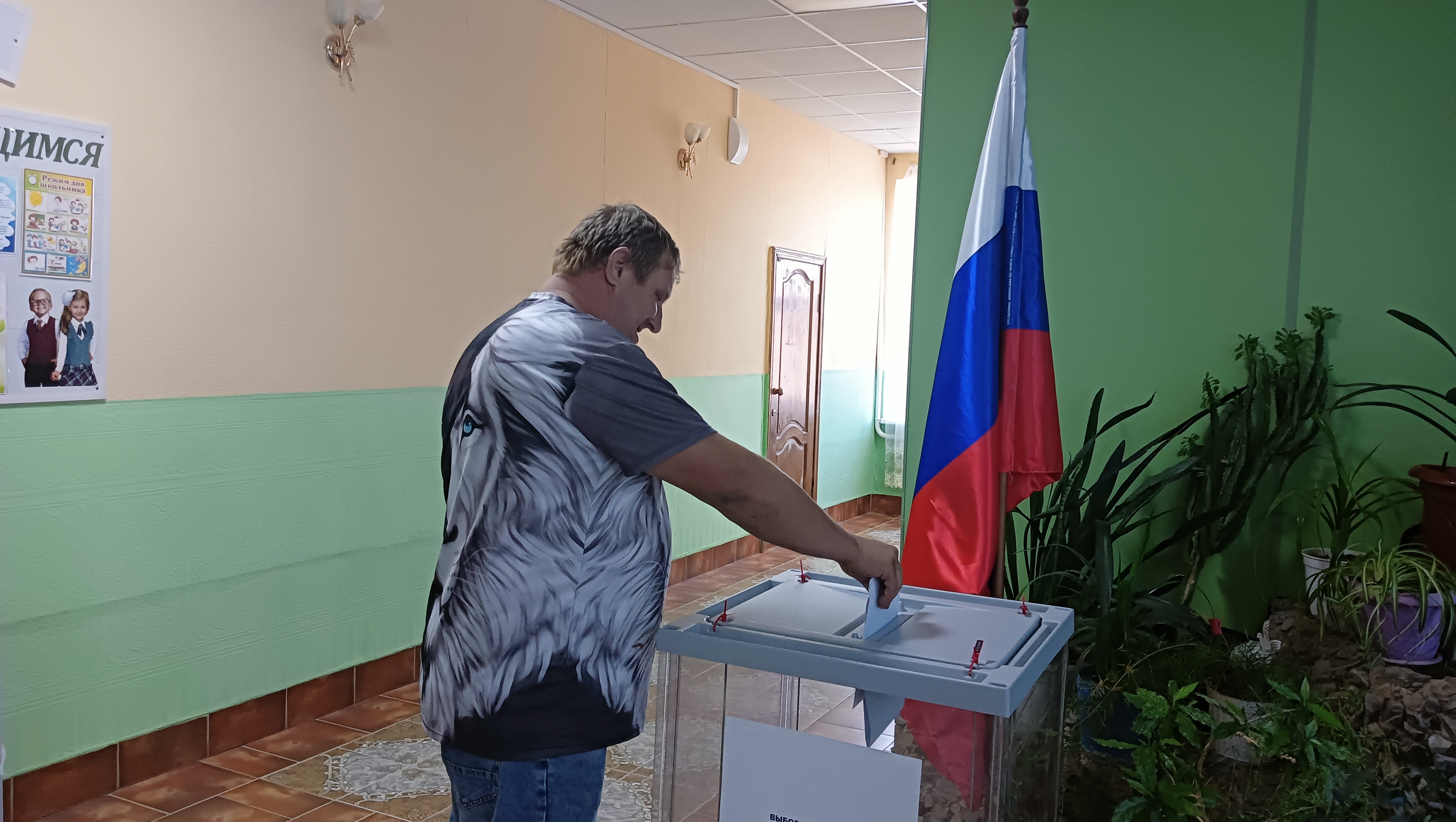 Сообщение — УИК №1181, Ростовская область