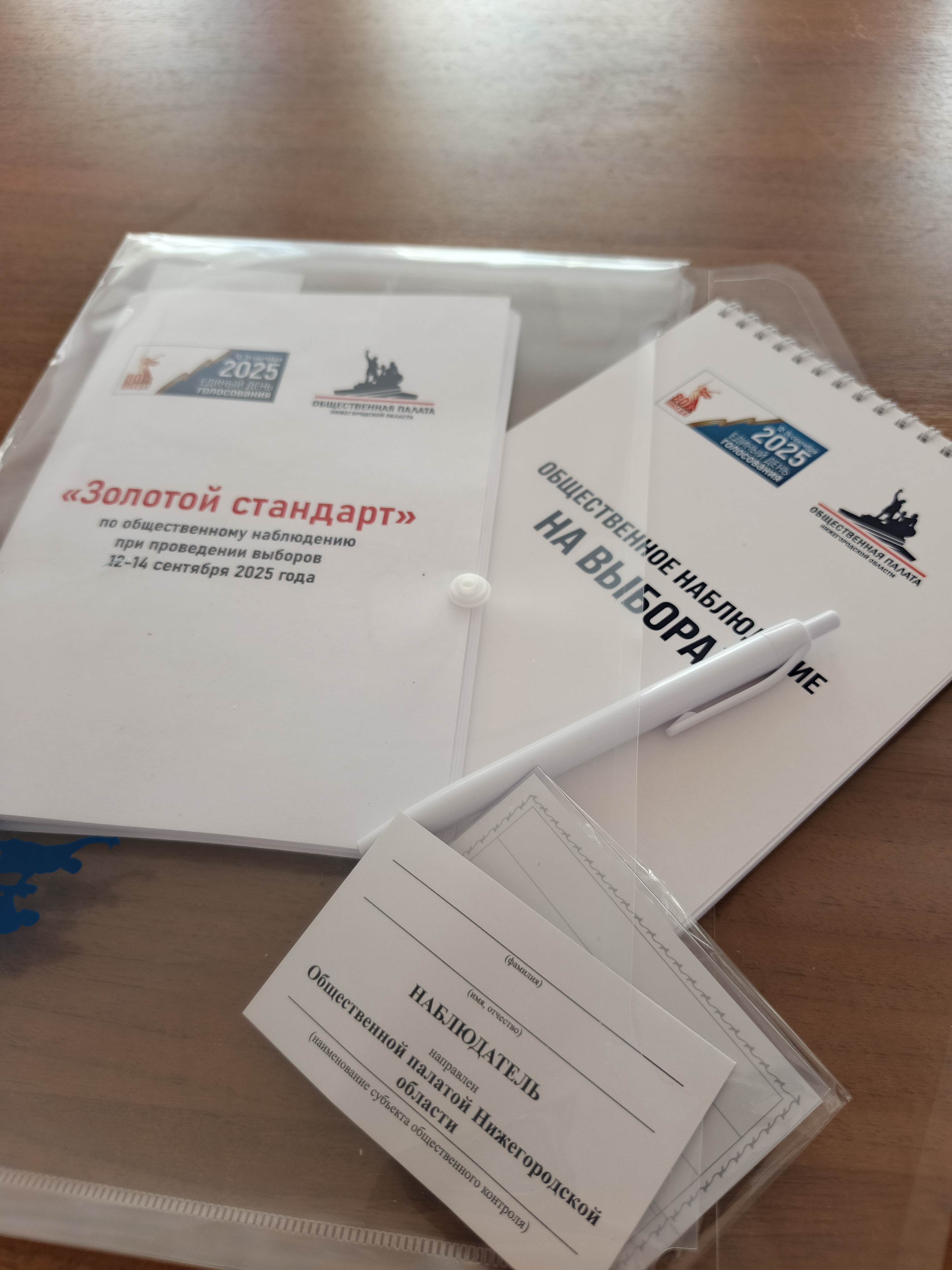 Сообщение наблюдателя — УИК №454, Нижегородская область