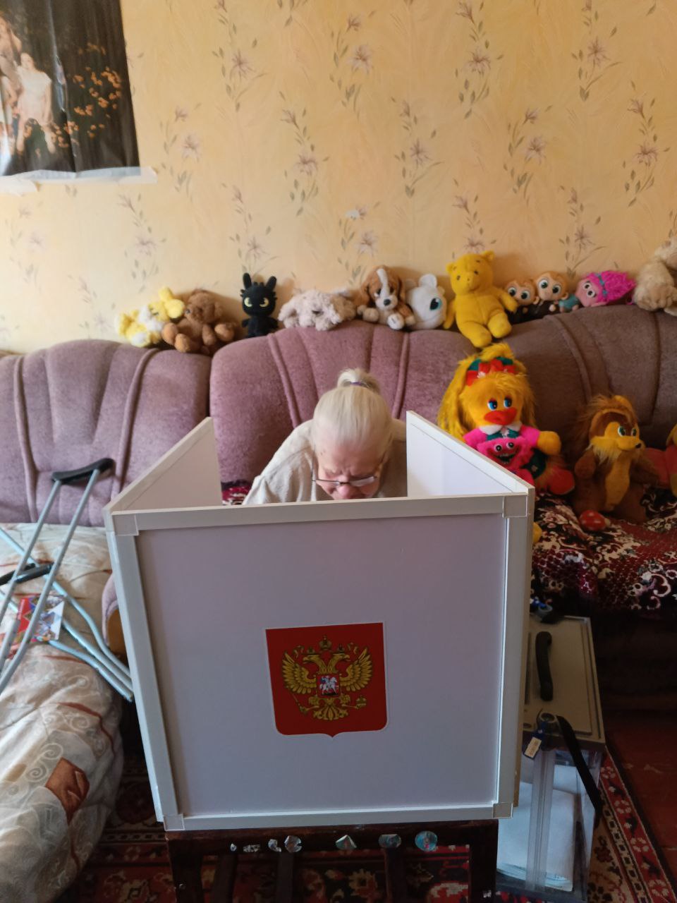 Сообщение наблюдателя — УИК №363, Псковская область