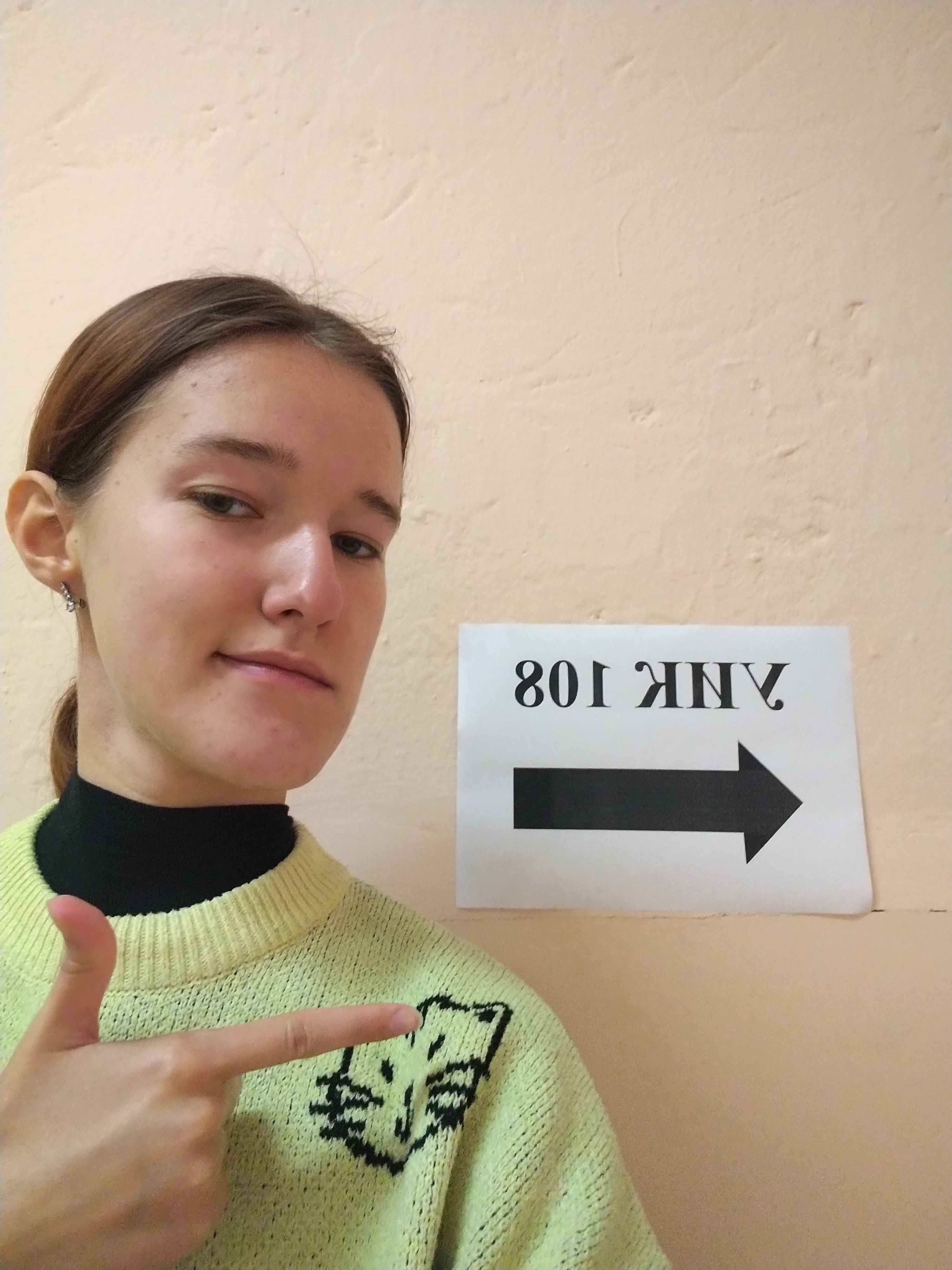 Сообщение — УИК №108, Пензенская область