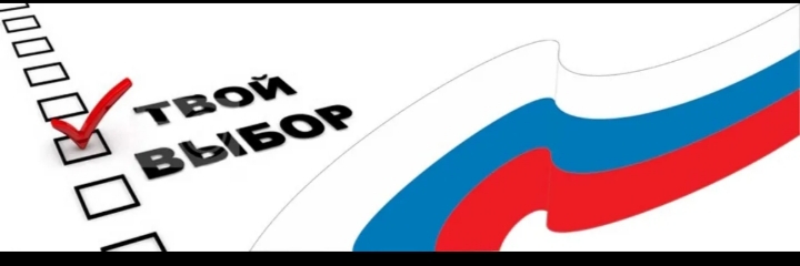 Сообщение наблюдателя — УИК №462, Новосибирская область