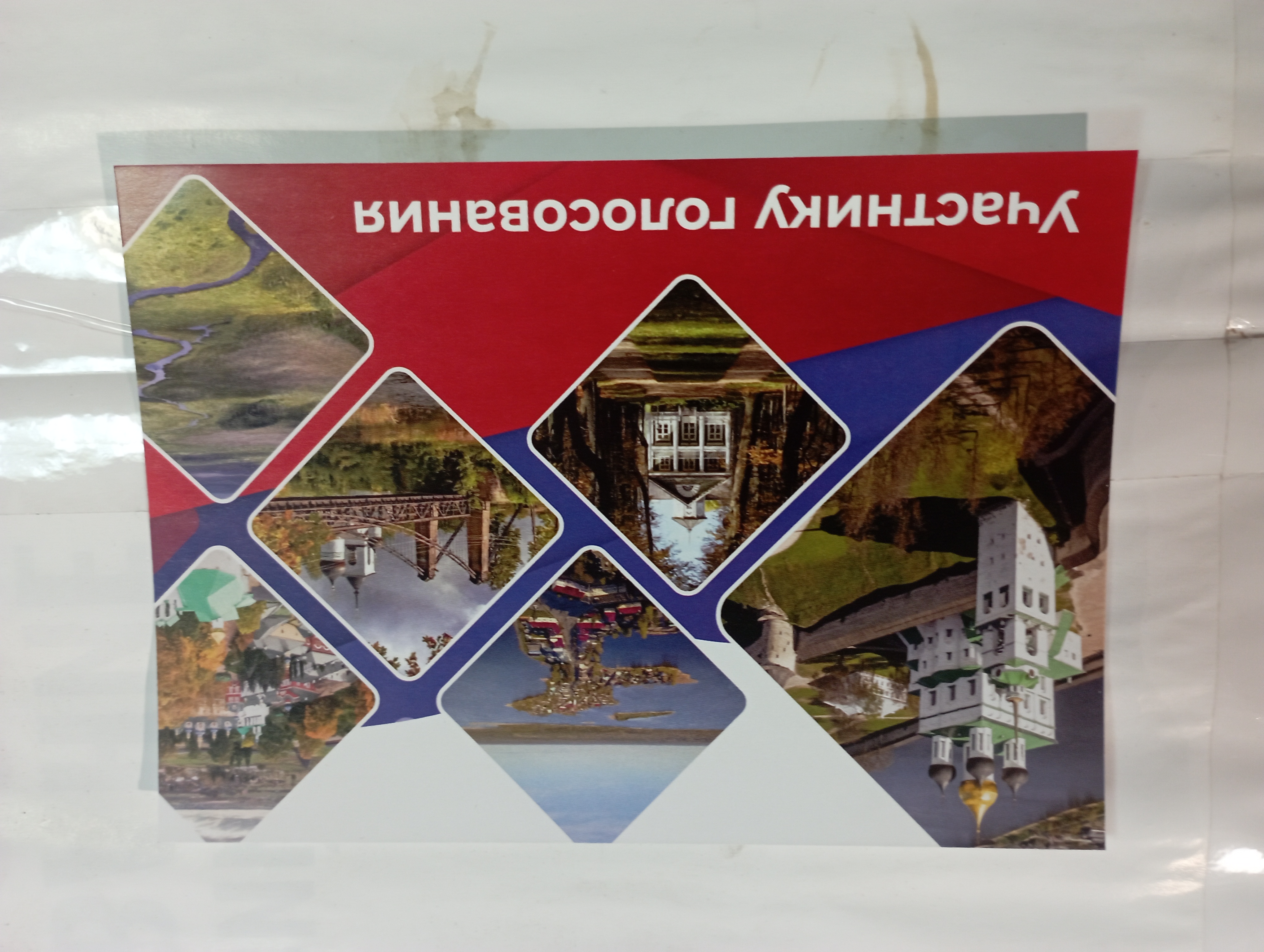 Сообщение наблюдателя — УИК №352, Псковская область