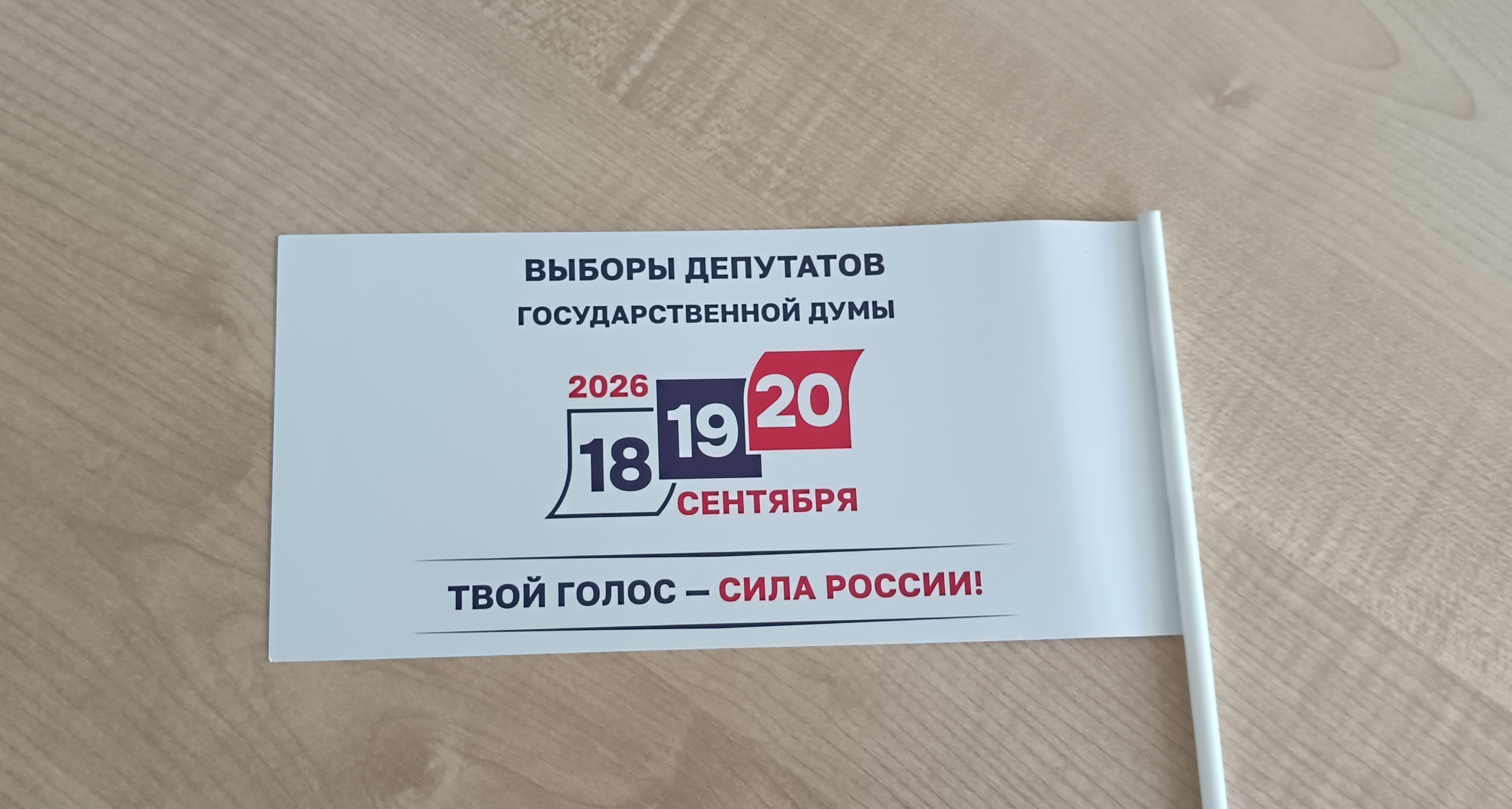 Сообщение — УИК №137, Смоленская область