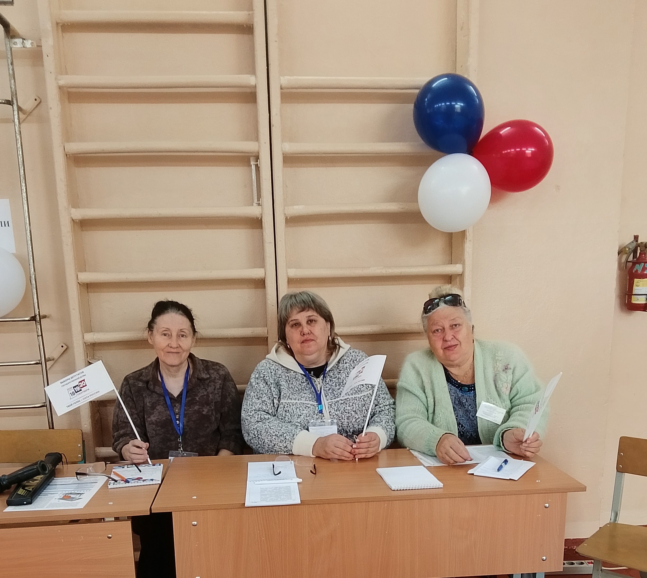 Сообщение — УИК №356, Смоленская область