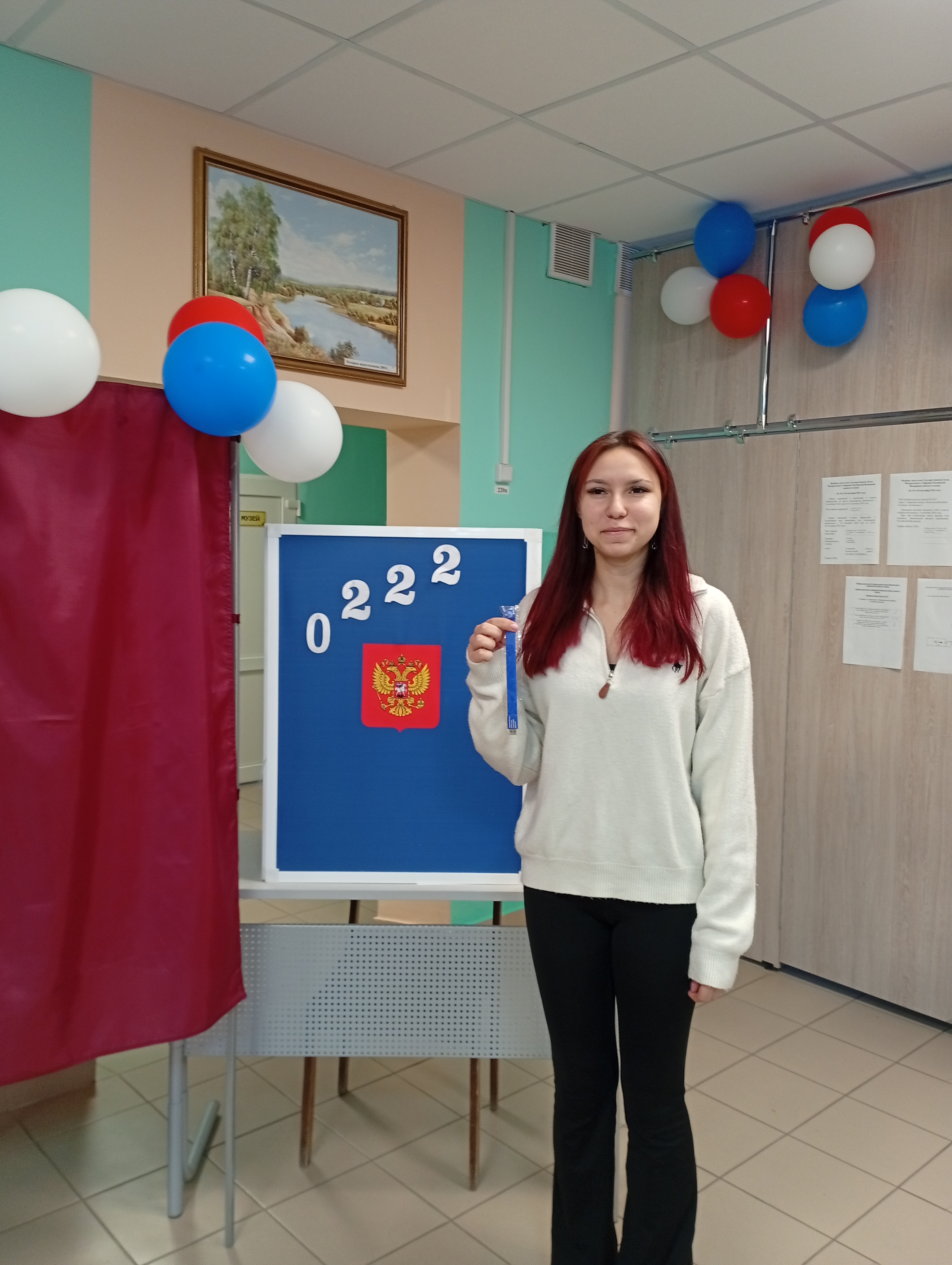 Сообщение — УИК №222, Самарская область
