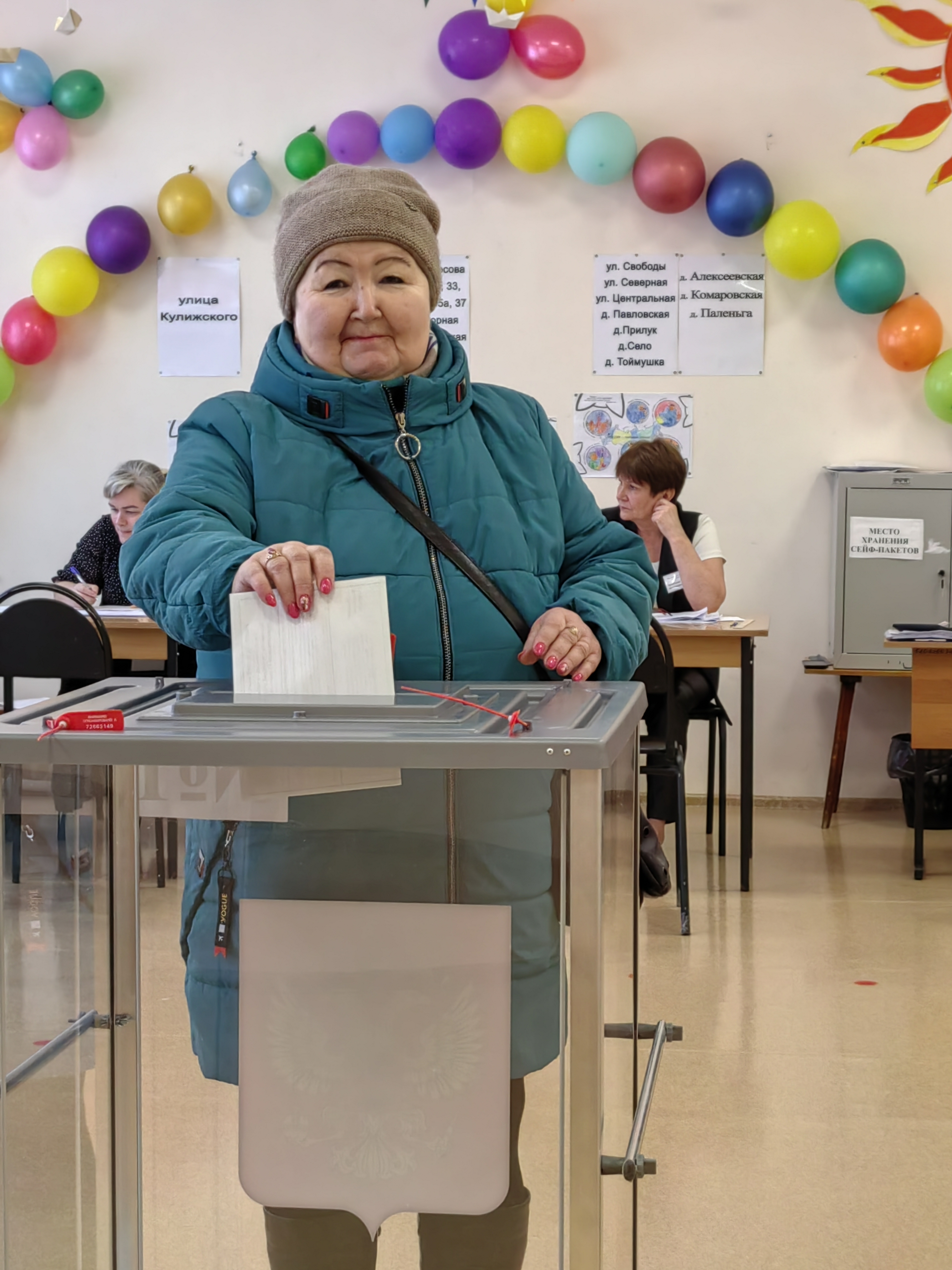 Сообщение наблюдателя — УИК №233, Архангельская область