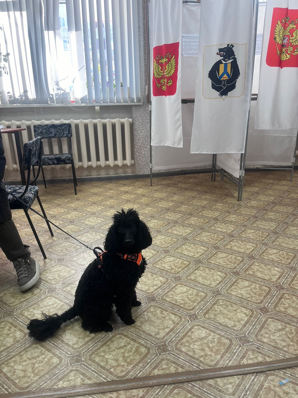 Сообщение наблюдателя — УИК №365, Хабаровский край