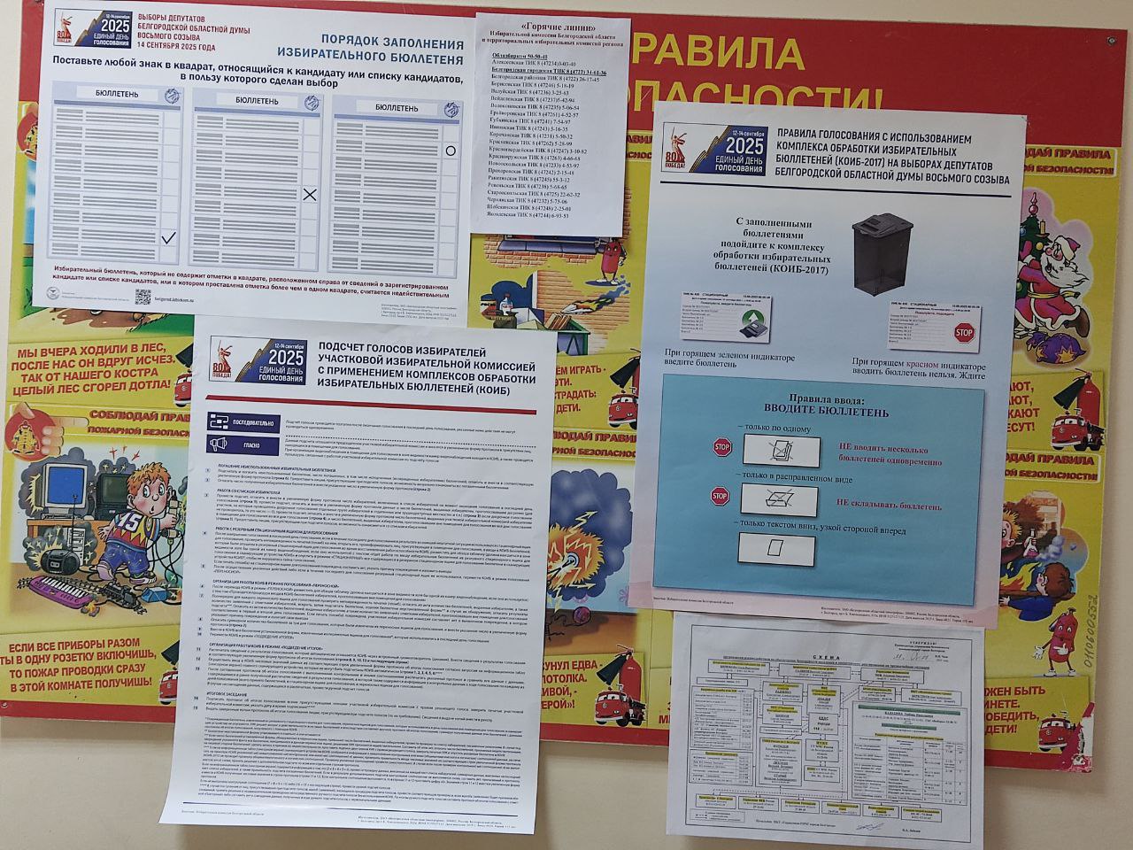 Сообщение наблюдателя — УИК №109, Белгородская область