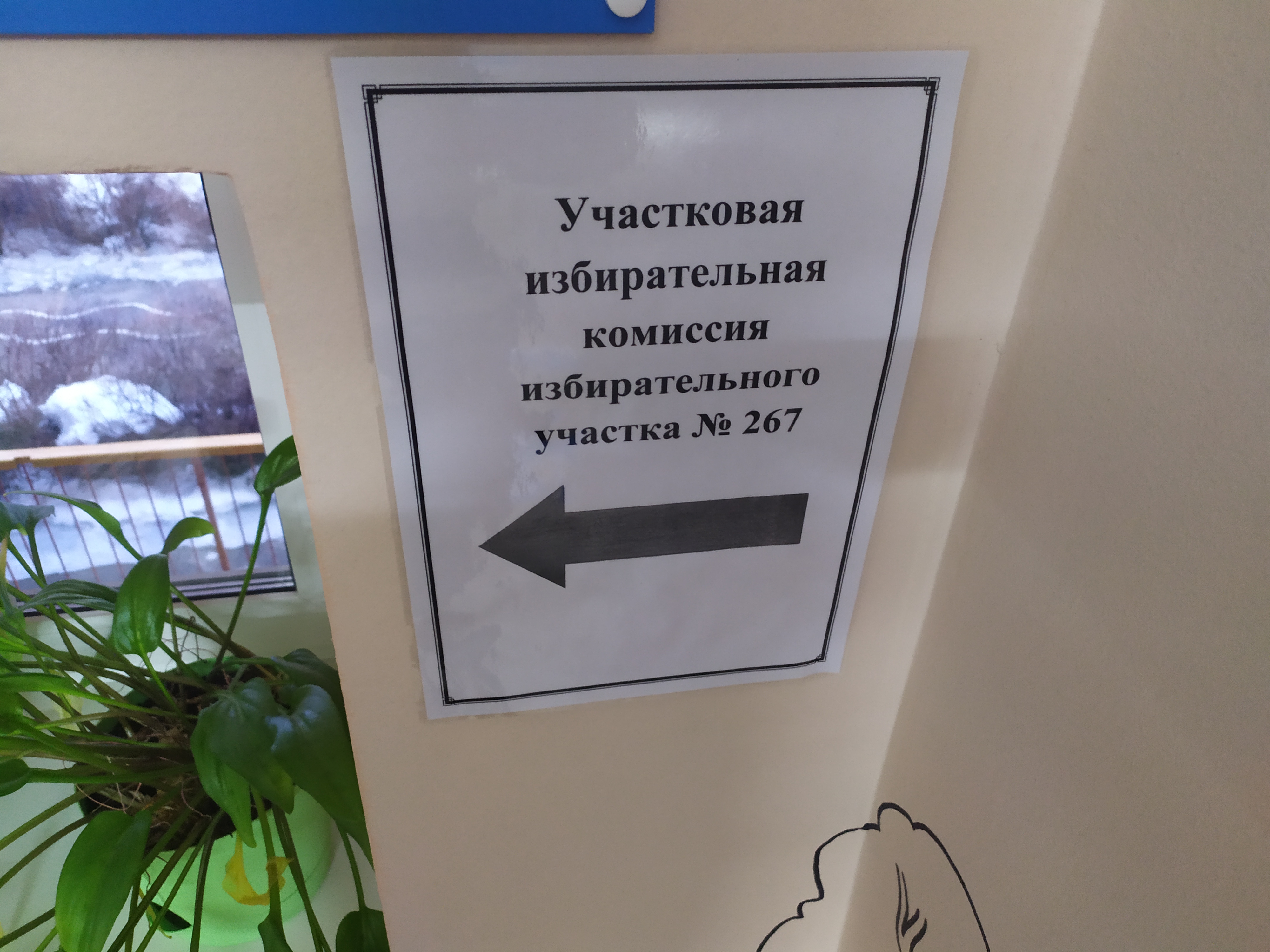 Сообщение наблюдателя — УИК №267, Саратовская область