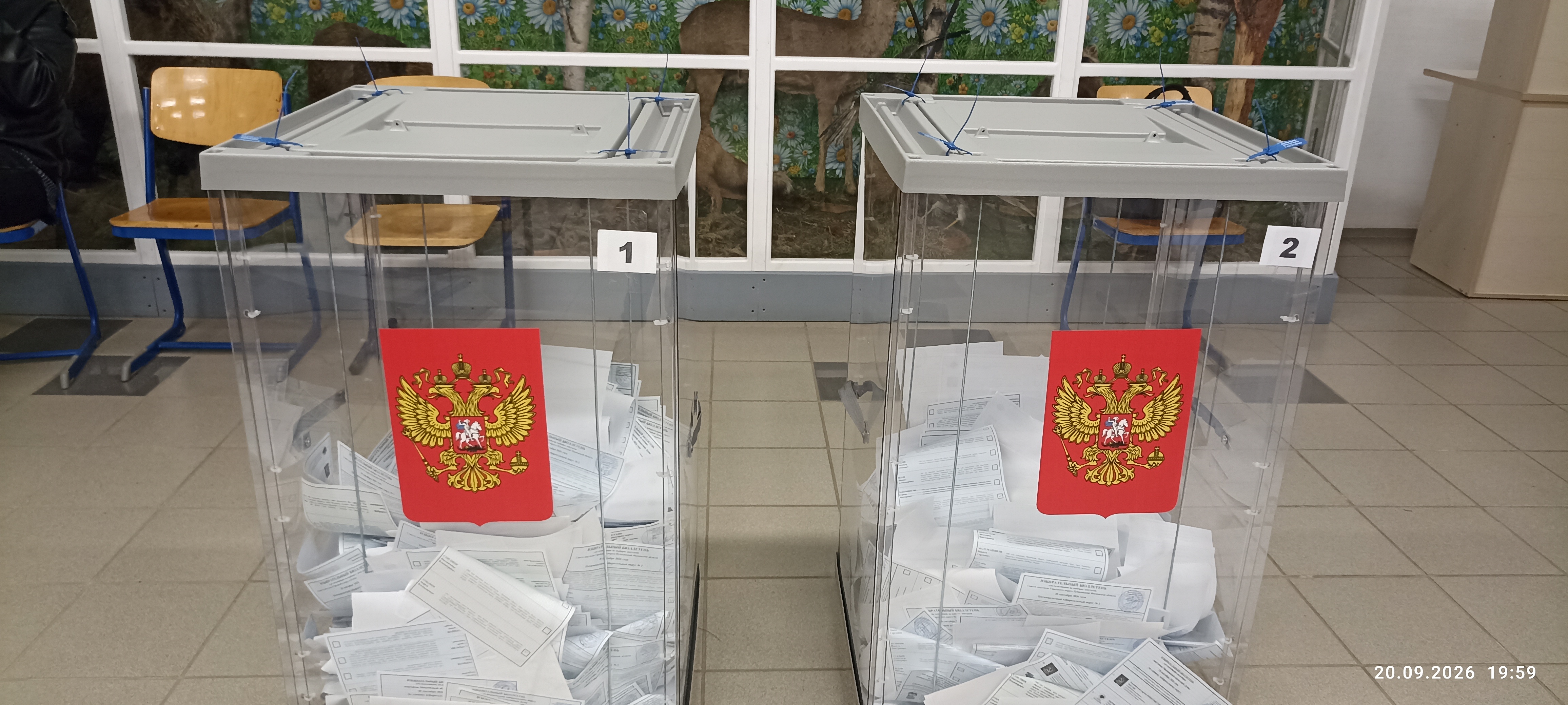 Сообщение — УИК №2461, Московская область