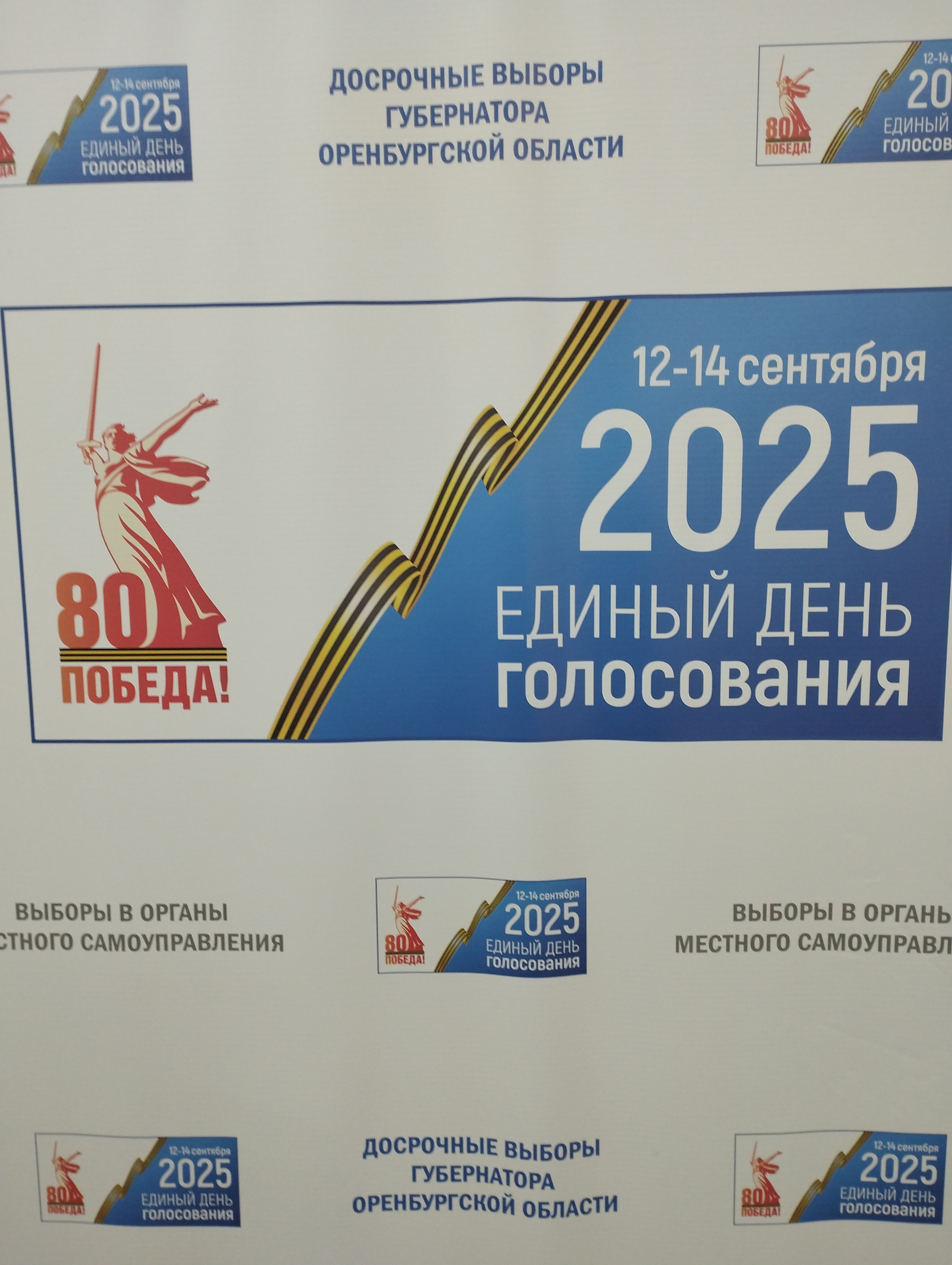 Сообщение наблюдателя — УИК №100, Оренбургская область