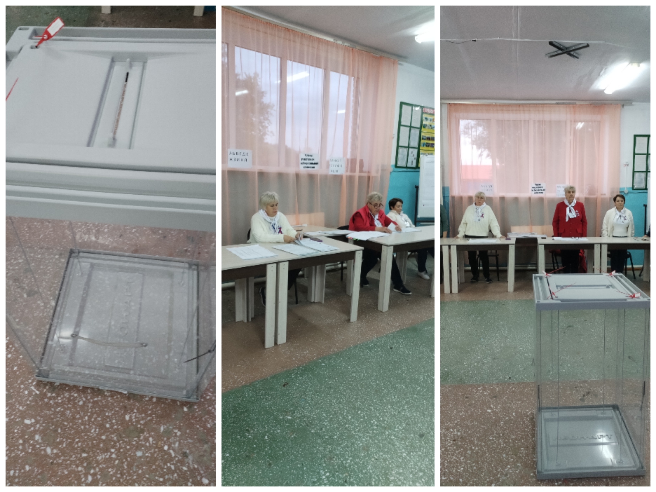 Сообщение — УИК №863, Новосибирская область