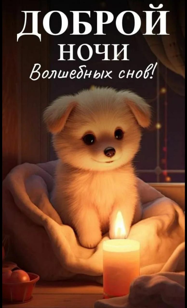 Сообщение наблюдателя — УИК №2619, Нижегородская область