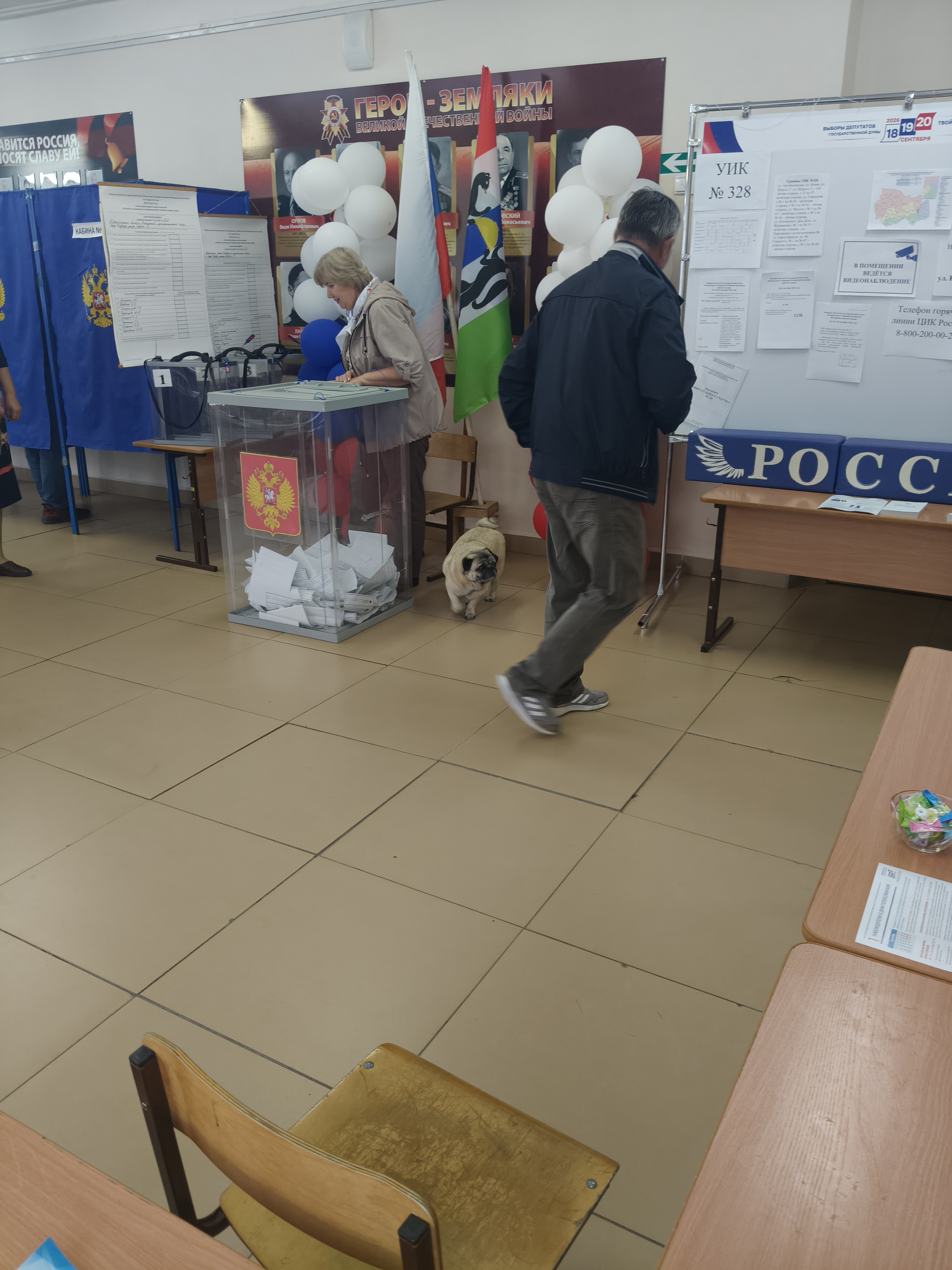Сообщение — УИК №328, Новосибирская область