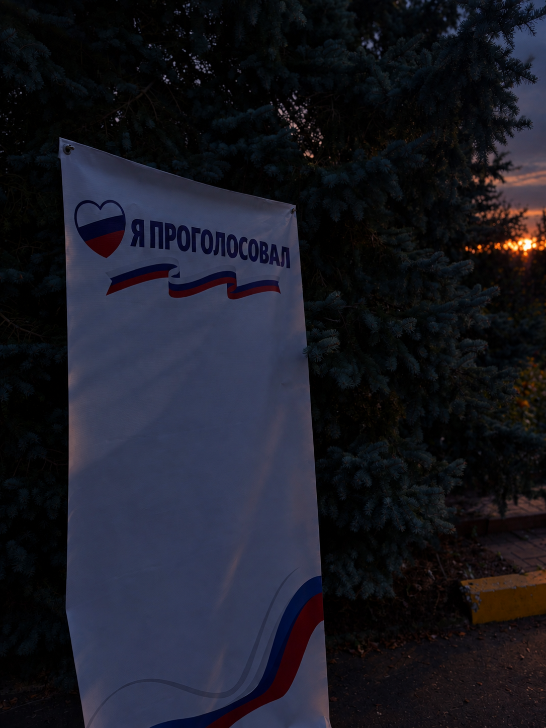 Сообщение — УИК №2233, Московская область