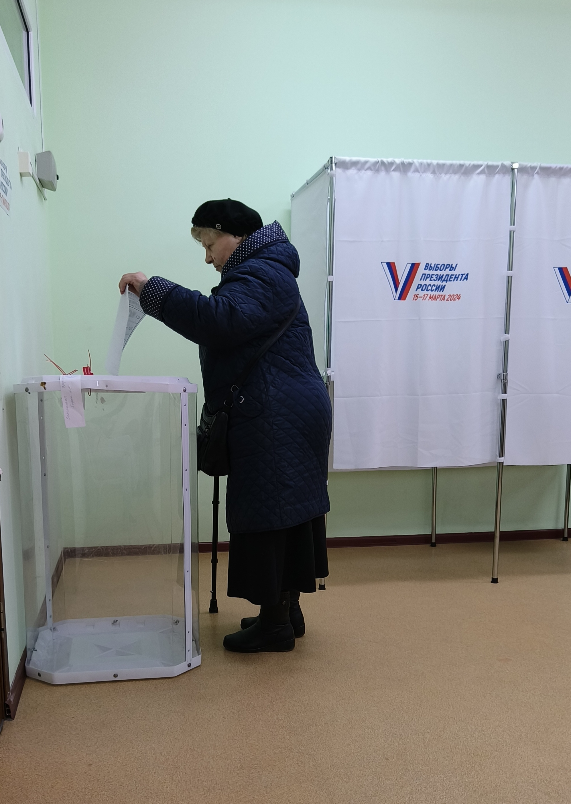 Сообщение наблюдателя — УИК №3393, Московская область
